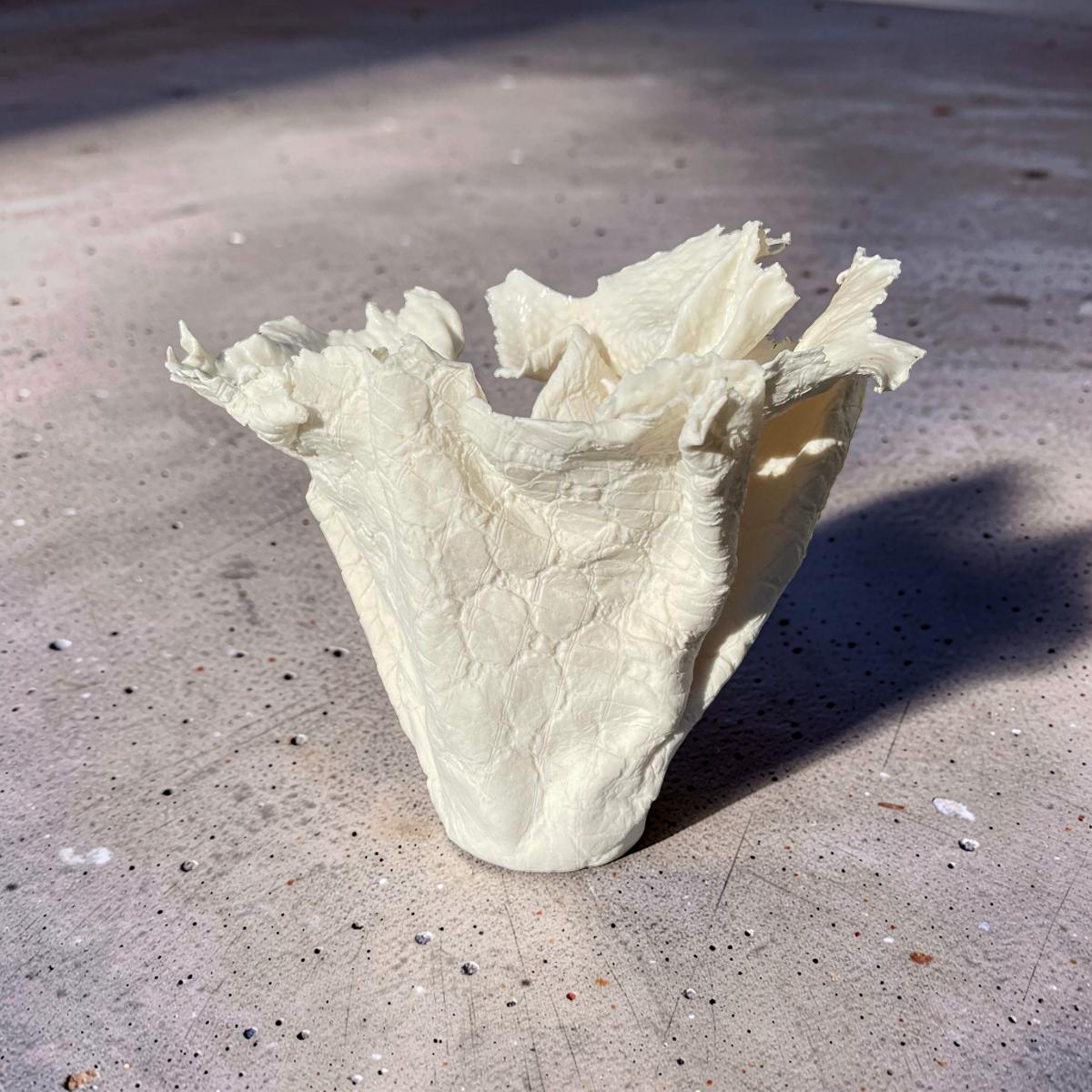 Lace II by Trudie Vrijbergen