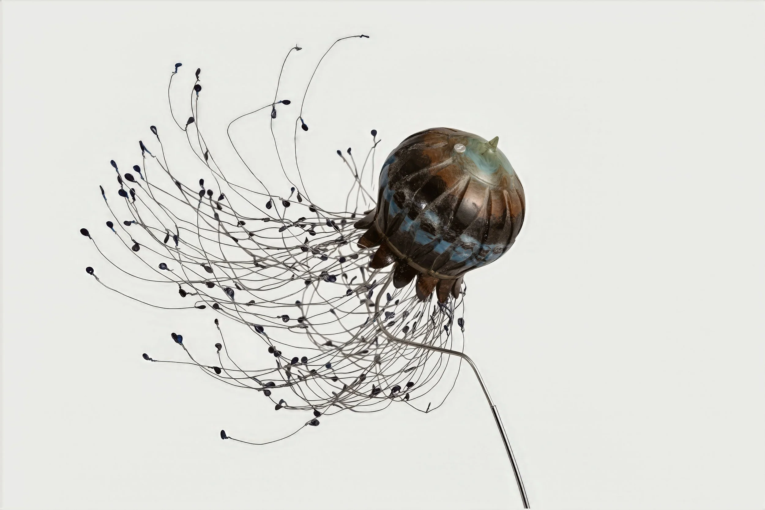 Juergen_Fuhr-Floating-Jellyfish-Complete-art-work-view-2019 - Juergen Fuhr.jpg