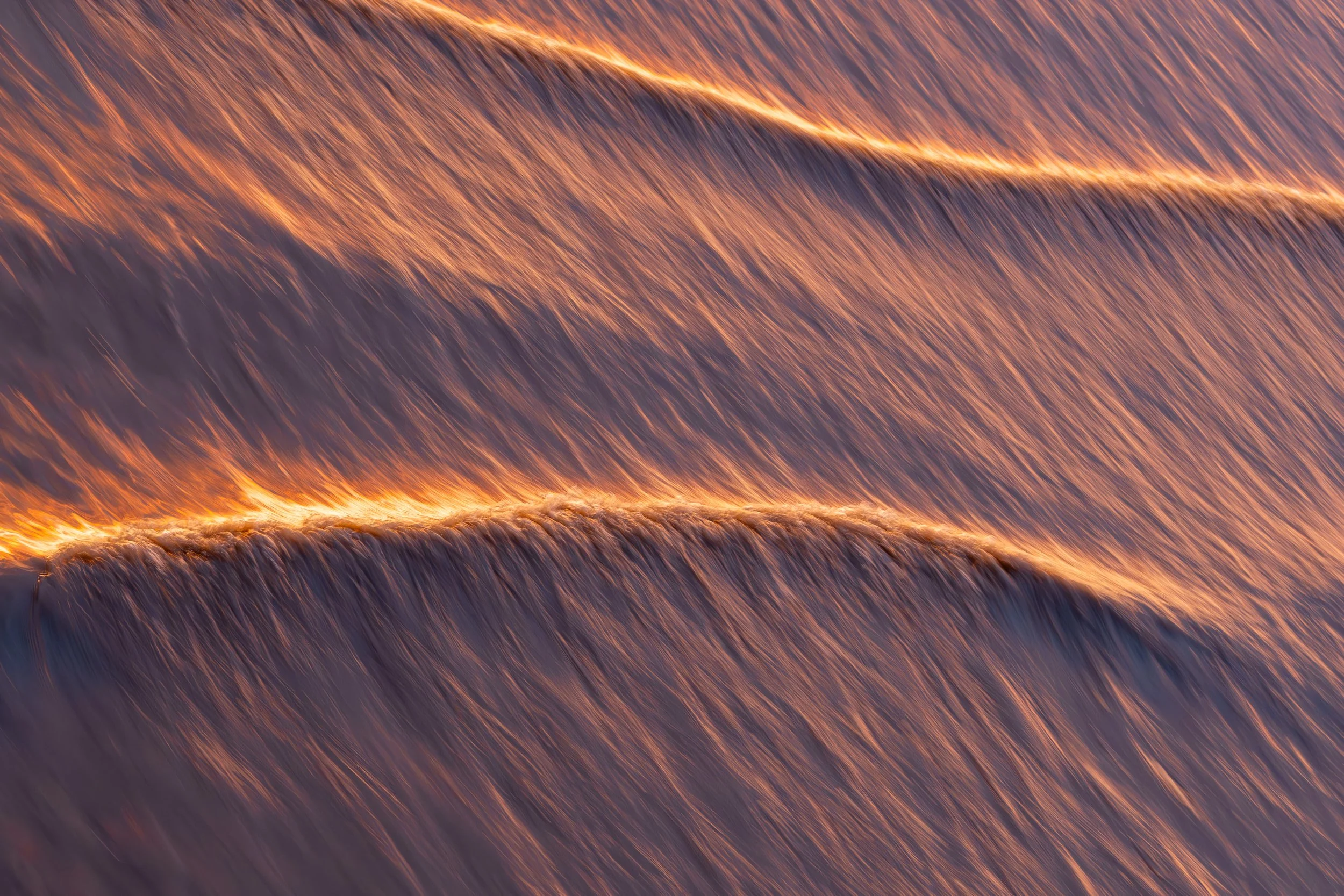 Lüdemann_firing veins_A3_2025 - Malte Schreiblicht.jpg