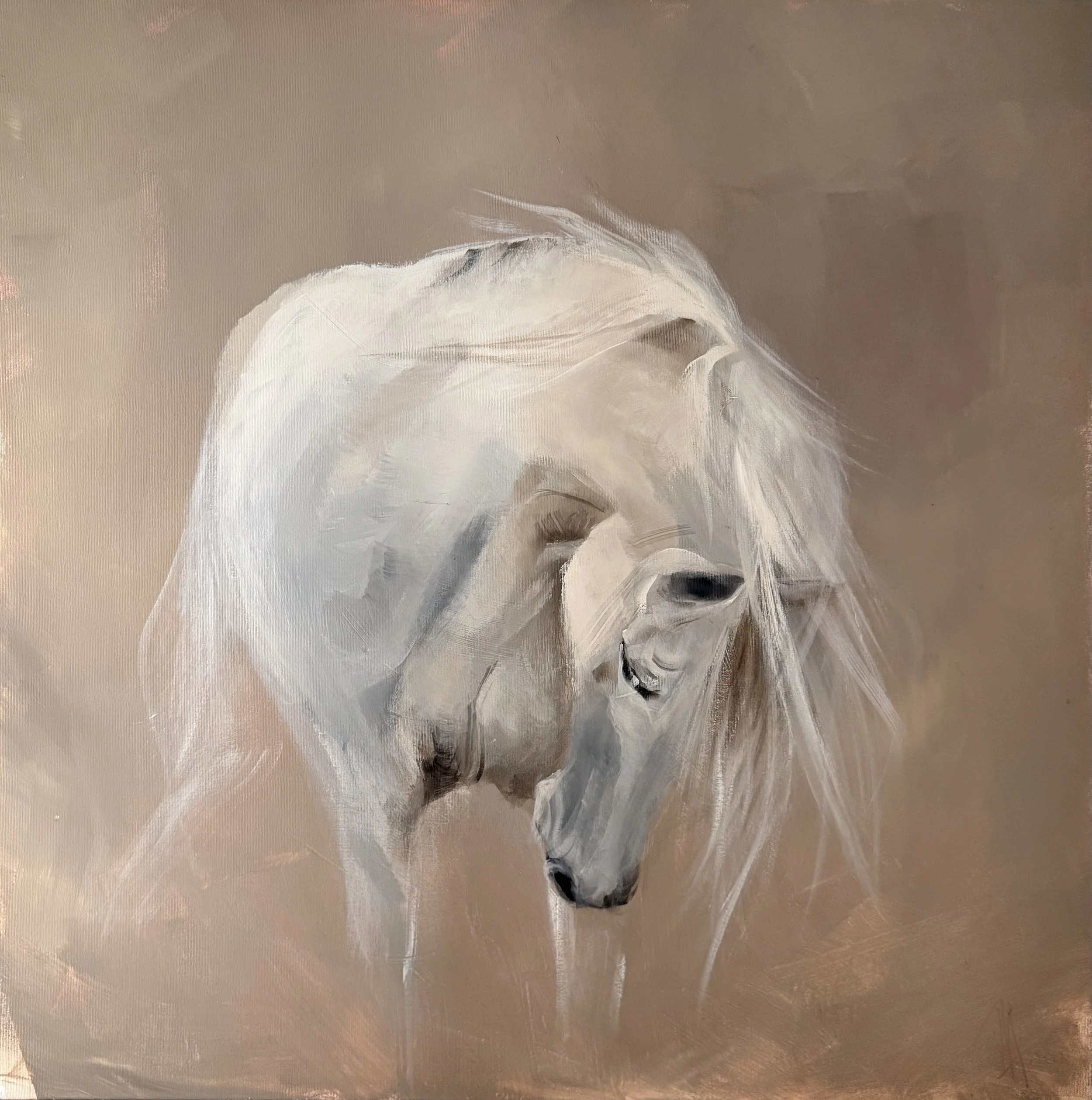 Spirit