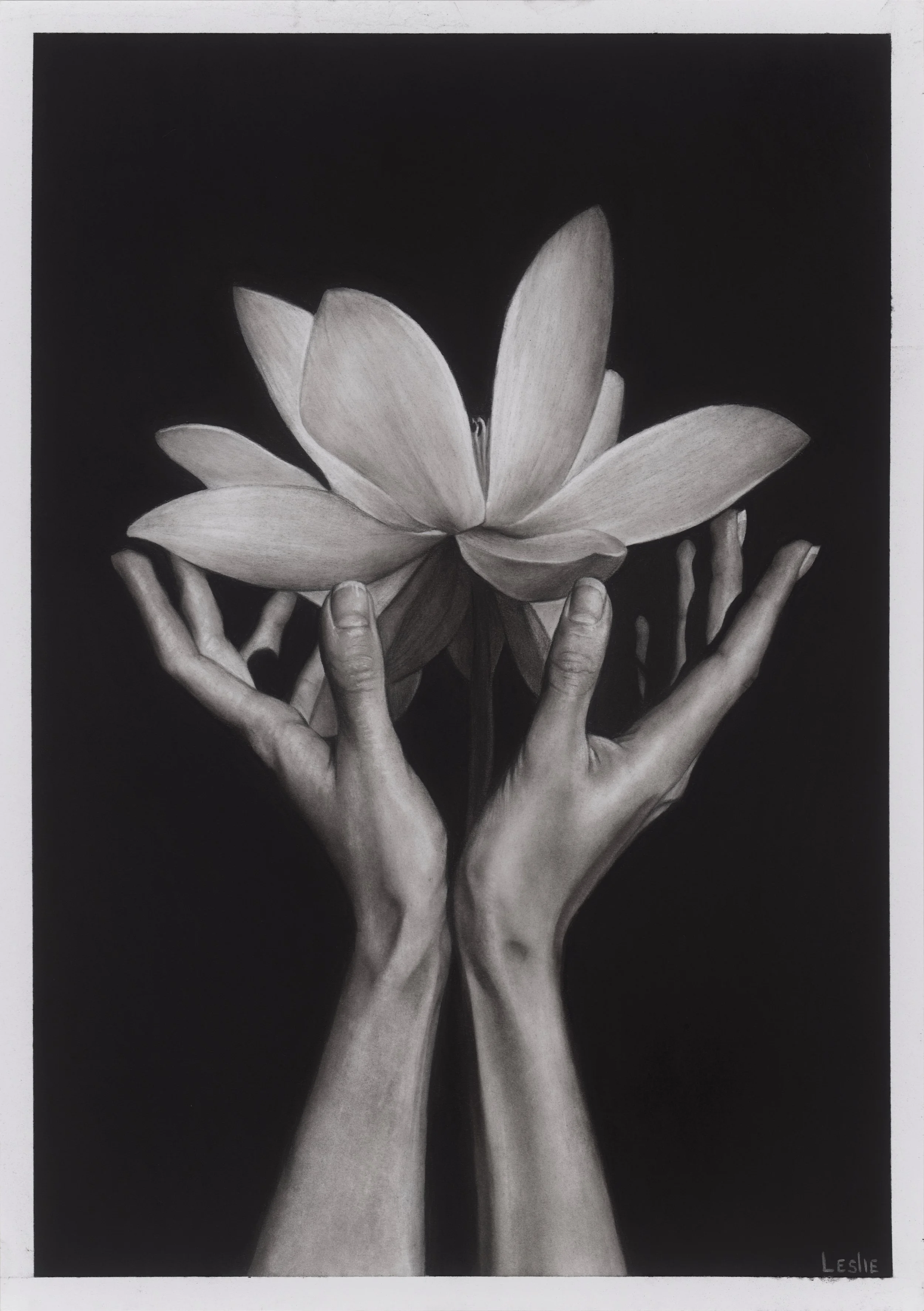 Nurture_2025_21.7x15.6 in_charcoal on paper - Veronika Peshkova.jpg