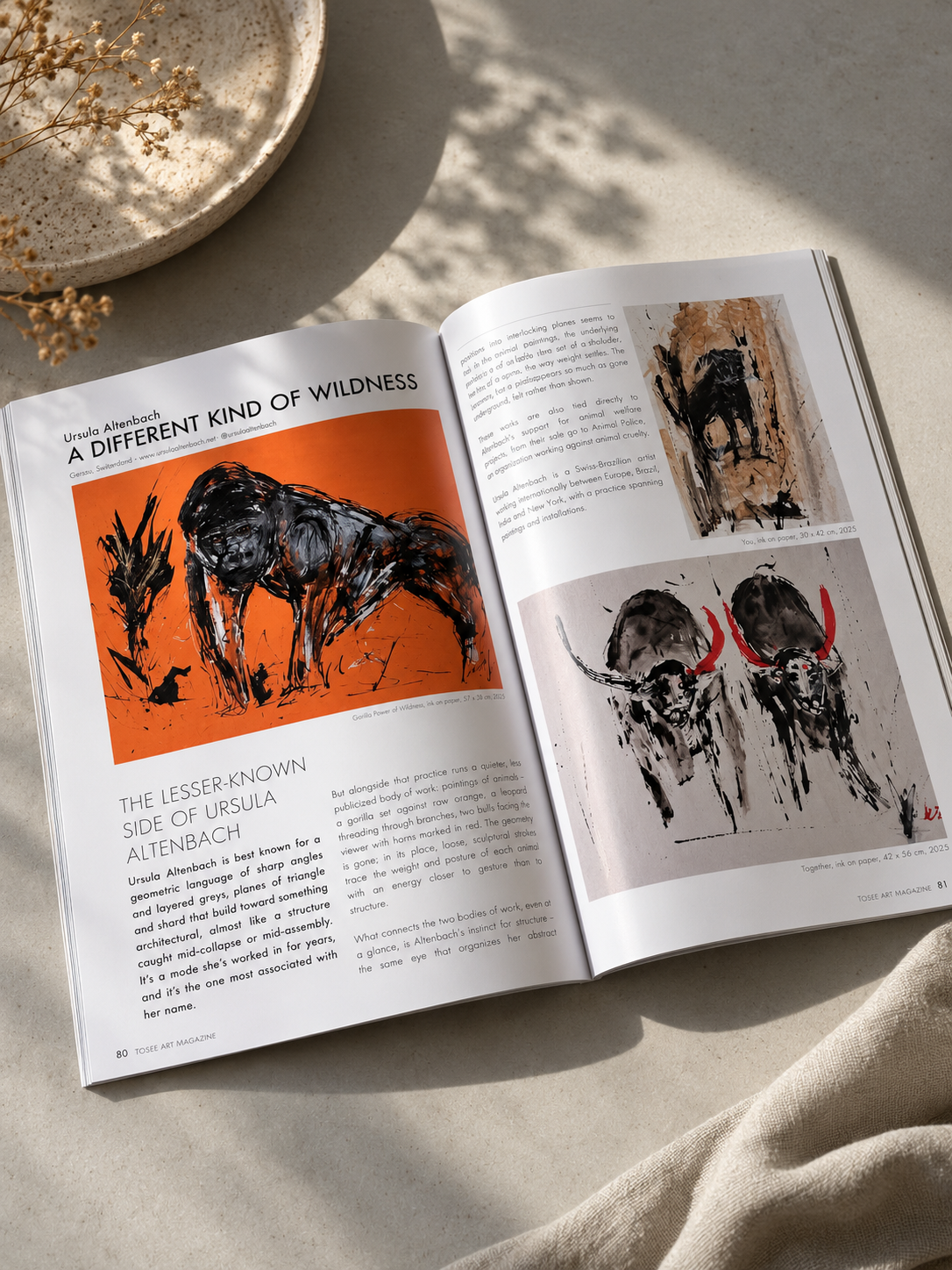 Sunlit Art Magazine Editorial Spread.png