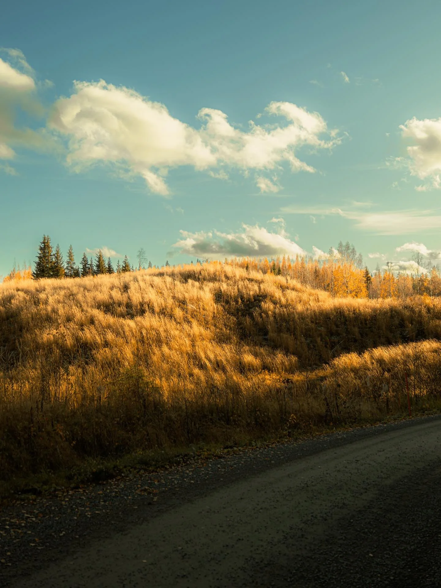 Rakkauskirje lapsuusmaisemille 🌾

T&auml;&auml; oli ihana projekti!