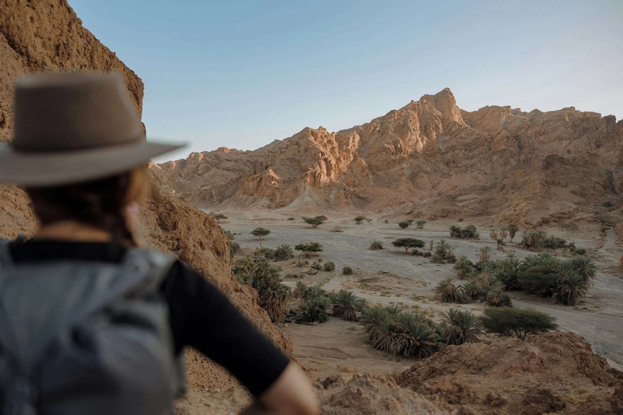 A person in a hat and backpack looking at a desert landscape with rocky mountains and sparse greenery.