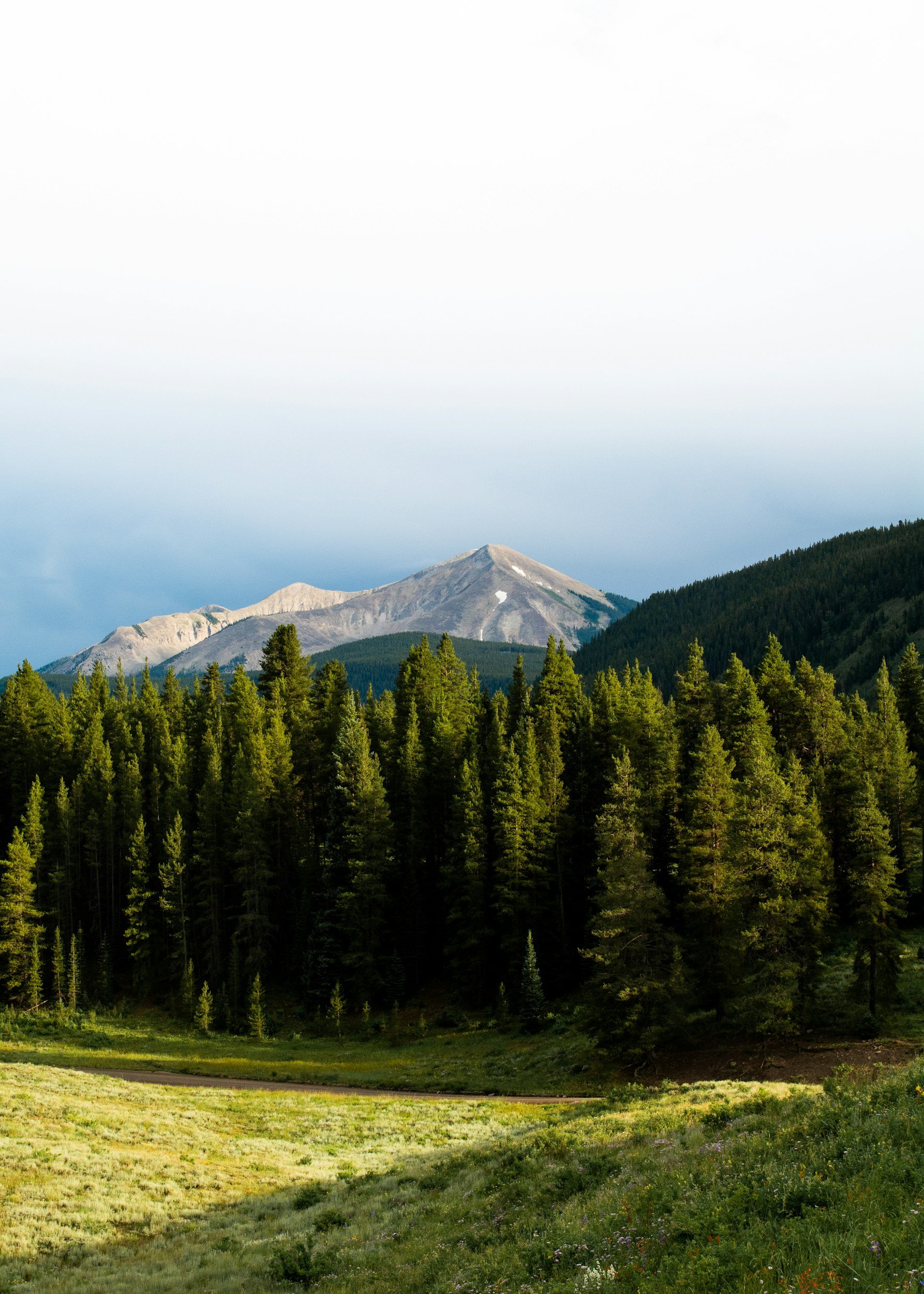 A mountain landscape with a forest in the foreground, a mountain peak in the distance, and a partly cloudy sky.