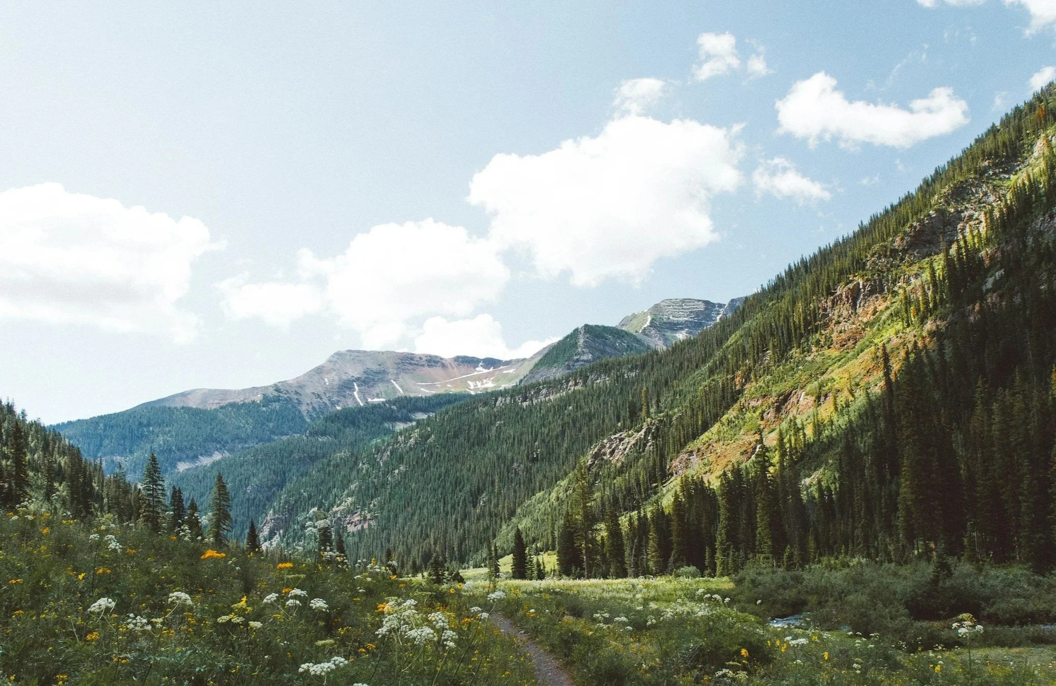 Scenic mountain landscape in Colorado with green pine trees, rocky slopes, wildflowers, and a blue sky with scattered clouds.