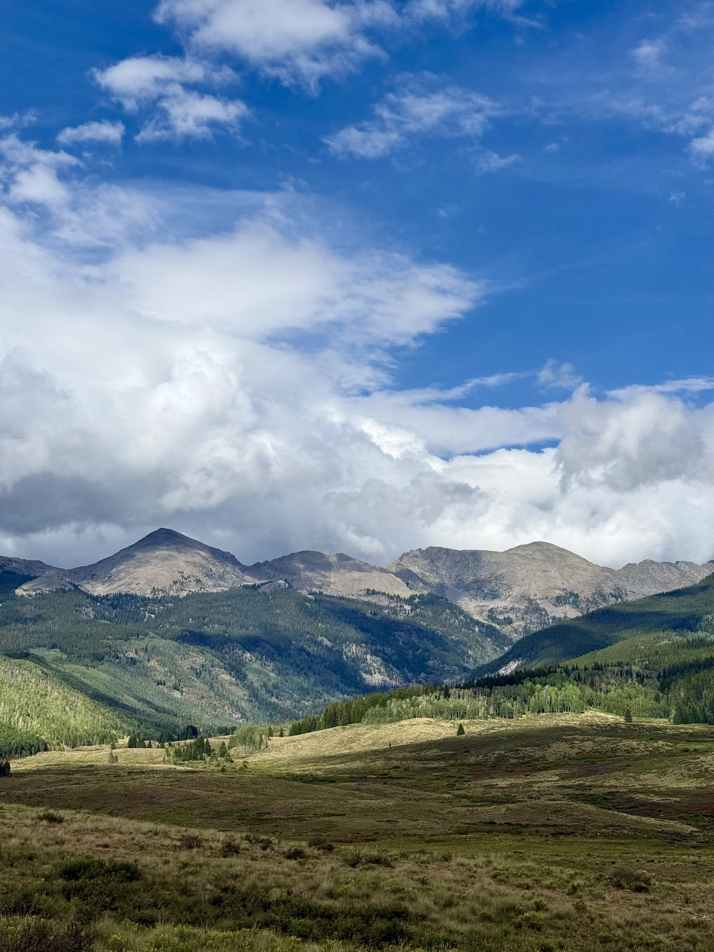 A mountain and meadow scene in the Rocky Mountains of Colorado
