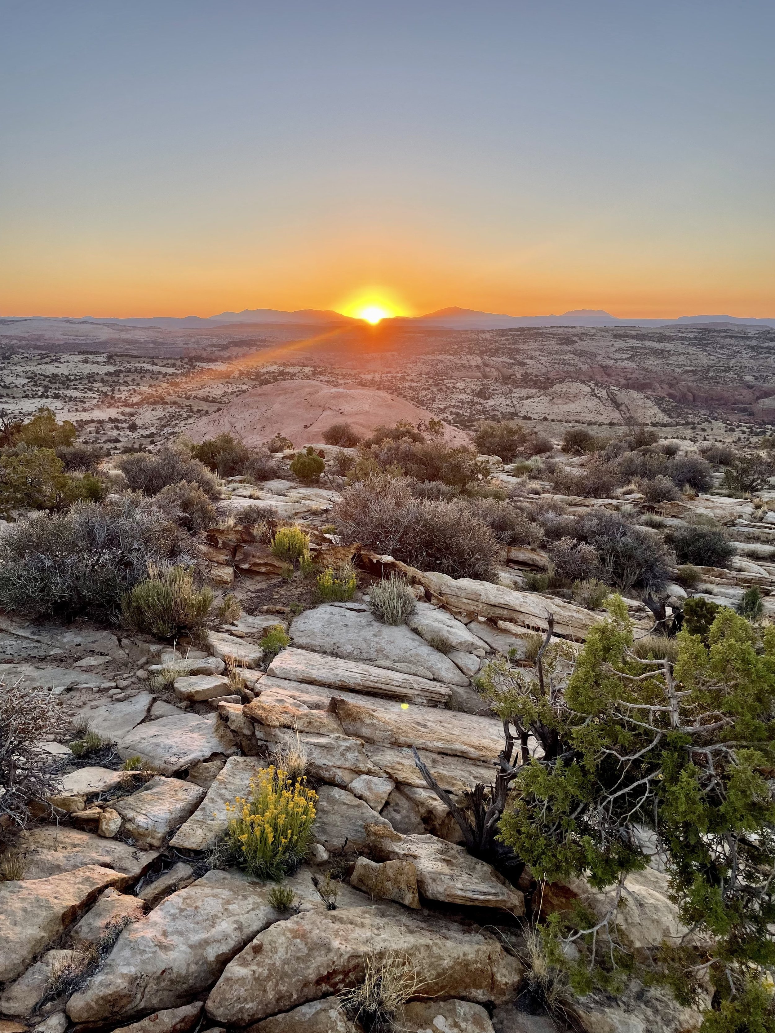 A detailed map of a national park with a pair of glasses, a cup of coffee, a bowl of dessert, and a blue cup on top of it.