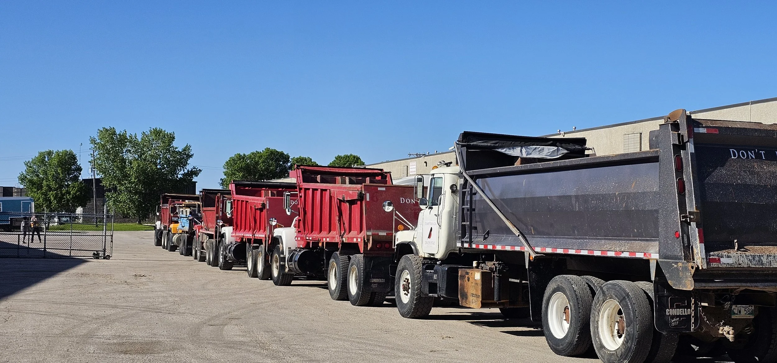 Line of dump trucks parked in a lot, with trees and a building in the background under a clear blue sky.