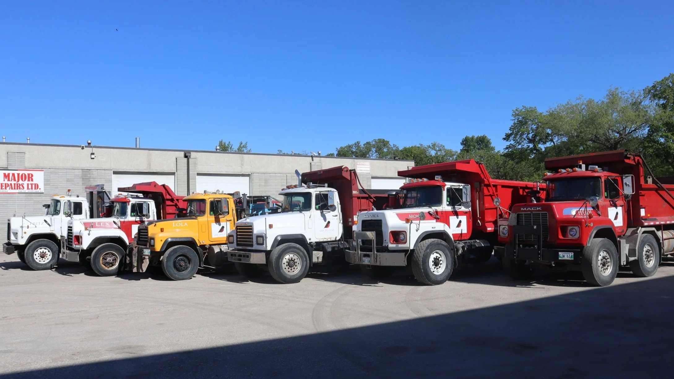 A lineup of six vintage fire trucks in white, yellow, and red, parked outside a building with a sign that reads 'Major Repairs Ltd' on a clear day with blue sky and trees in the background.