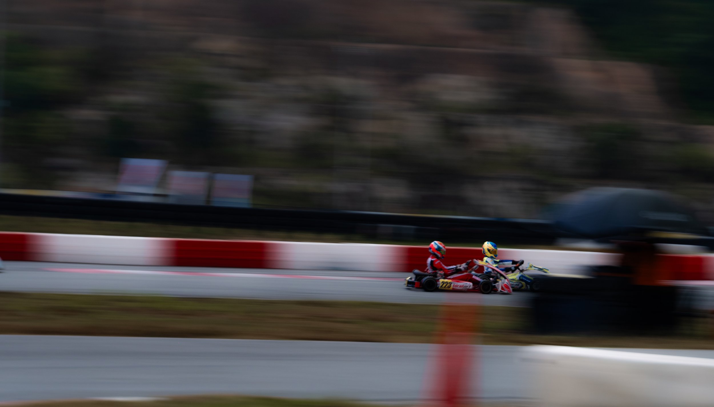 DSC_7831.jpg.jpeg