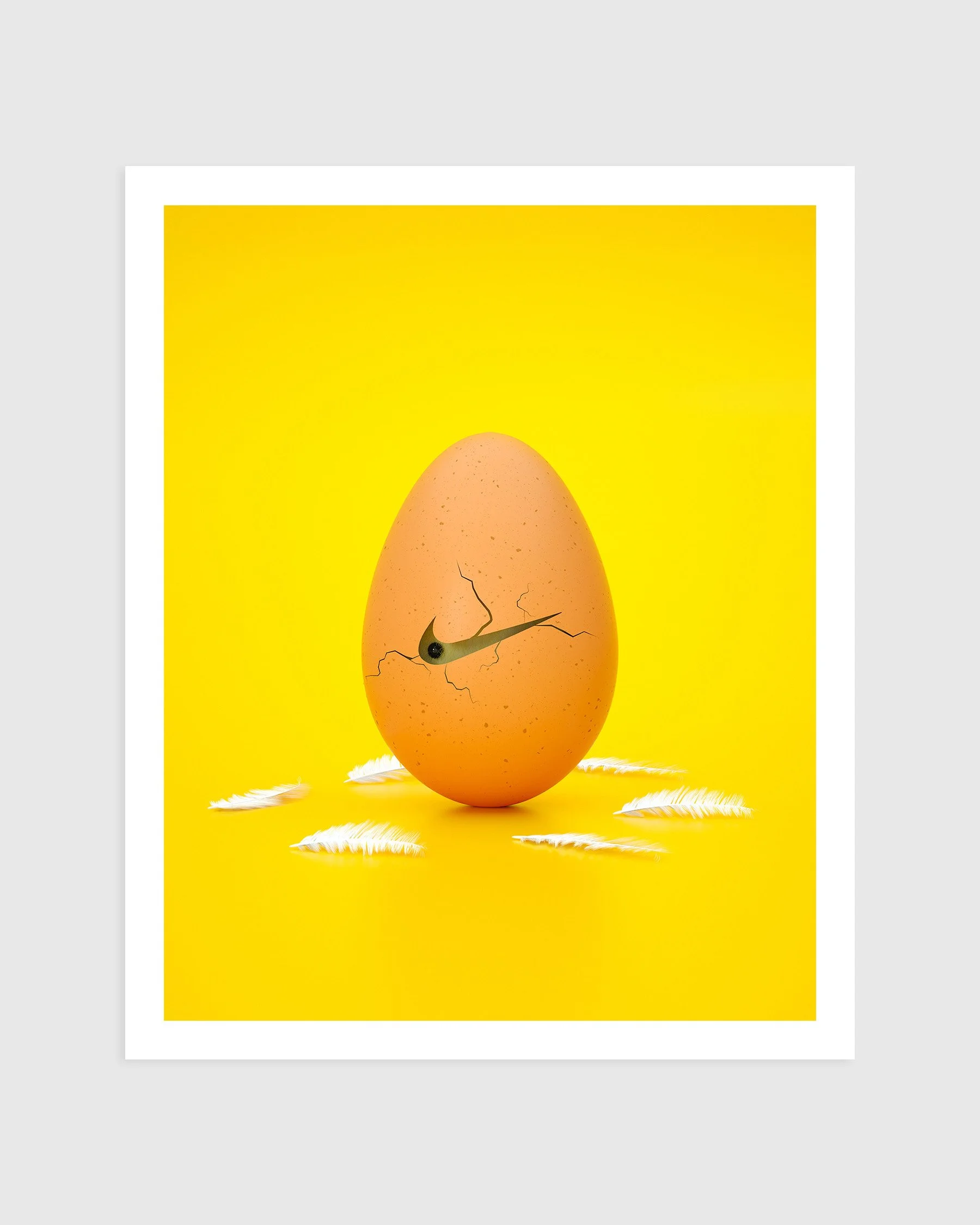 Nike Egg