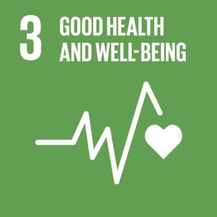 3. Good Health and Well-Being