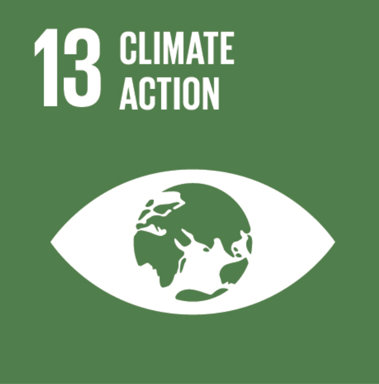 13. Climate Action