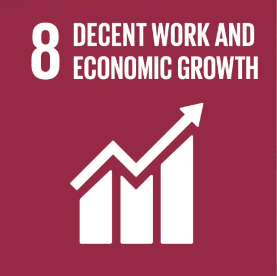 8. Decent Work and Economic Growth