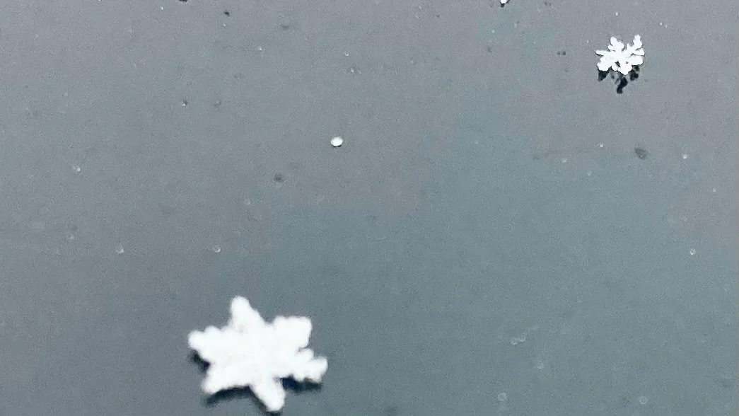 Celebrating changing our relationship to our thoughts can give us so many things to love, relationship therapist in Midland, mi