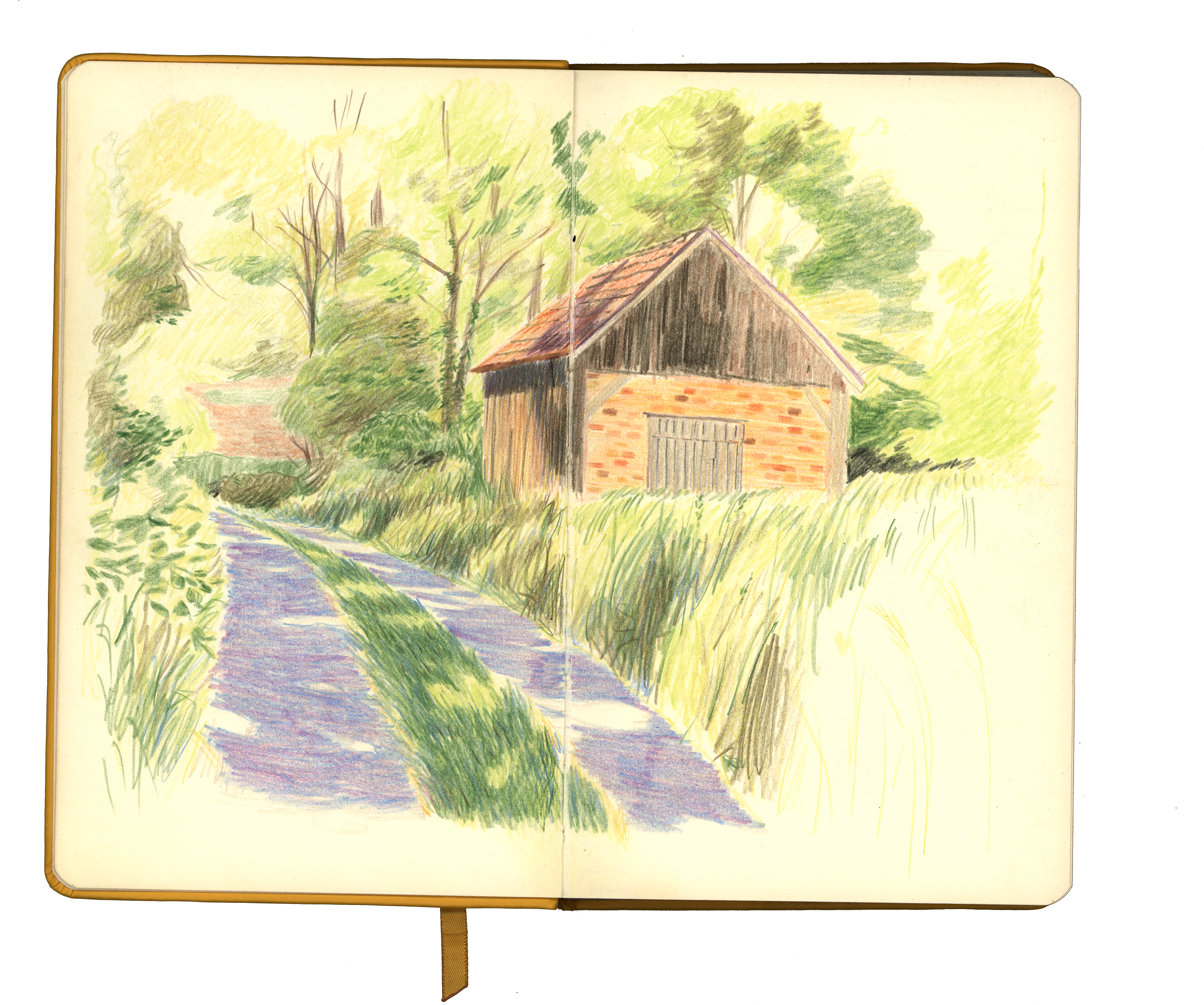 yellow_p05.png