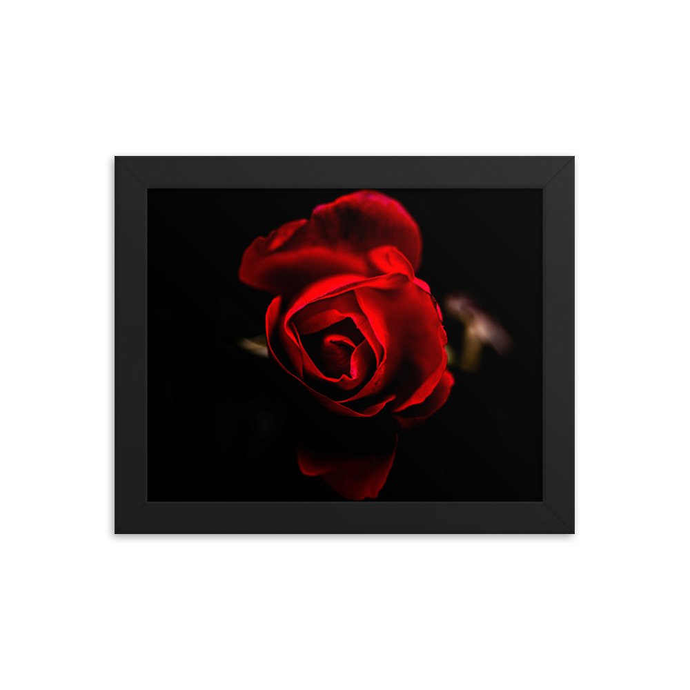 enhanced-matte-paper-framed-poster-(in)-black-8x10-transparent-6750915c854fa.jpg