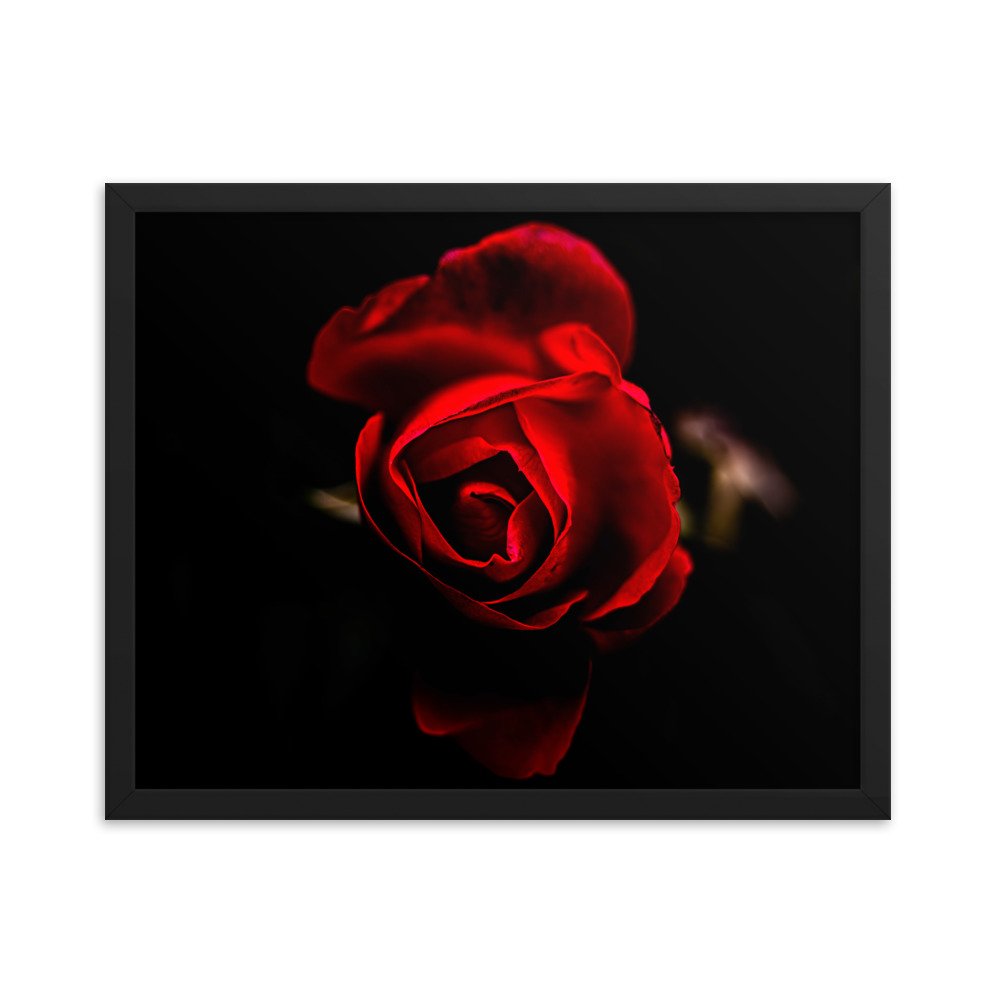 enhanced-matte-paper-framed-poster-(in)-black-16x20-transparent-6750915c85a5a.jpg