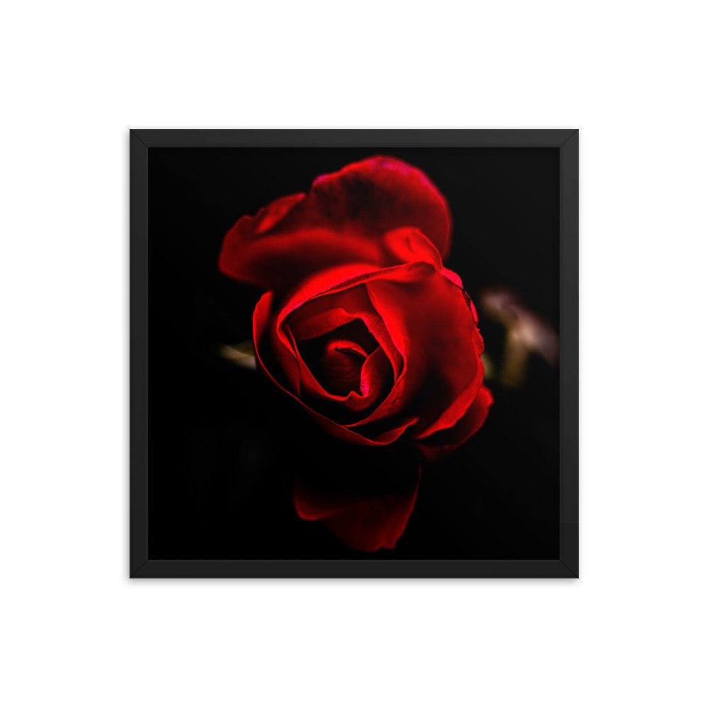 enhanced-matte-paper-framed-poster-(in)-black-18x18-transparent-6750915c85af1.jpg