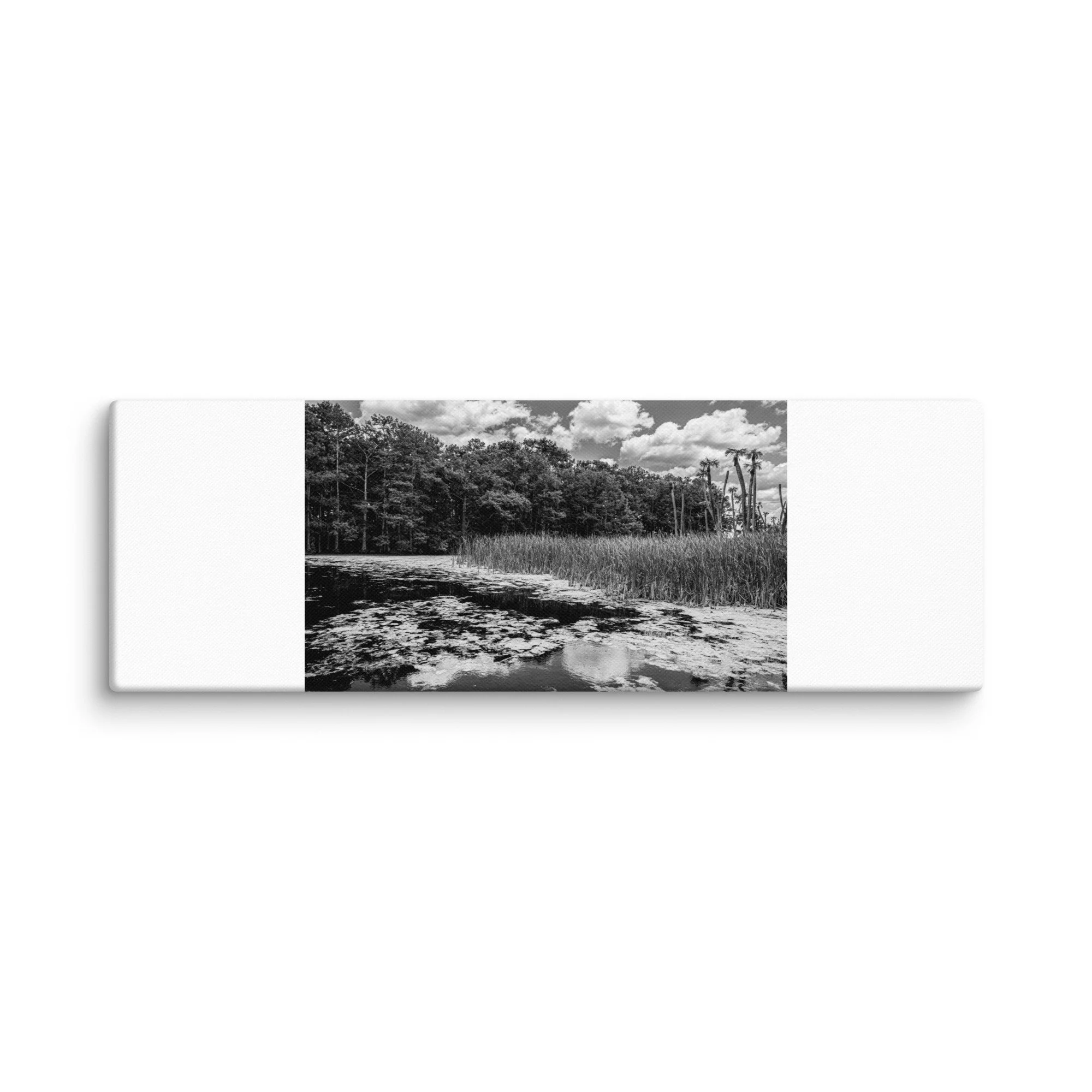 canvas-(in)-16x48-wall-6807b7a24bab4.jpg