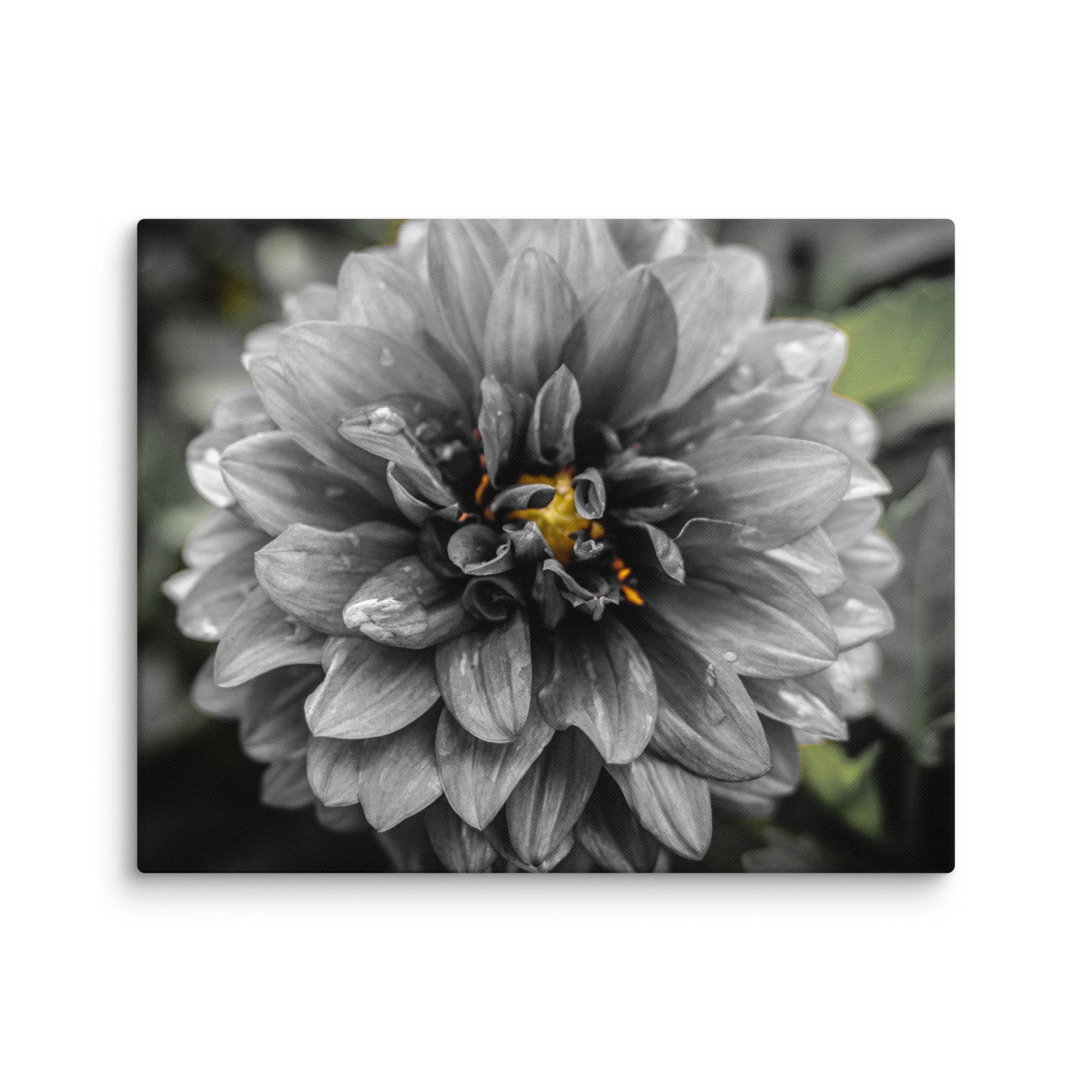 canvas-(in)-24x30-wall-6807b9864dda7.jpg