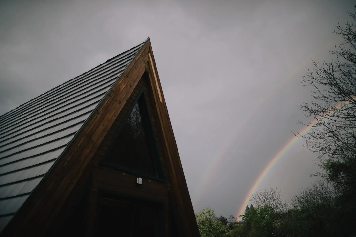 A term&eacute;szet az utols&oacute; mened&eacute;k&uuml;nk

Amikor reggelente kimegyek s&eacute;t&aacute;lni a kuty&aacute;mmal az erdőbe, mindig viszek magammal egy csom&oacute; k&eacute;rd&eacute;st a fejemben, rengeteg fesz&uuml;lts&eacute;get az 