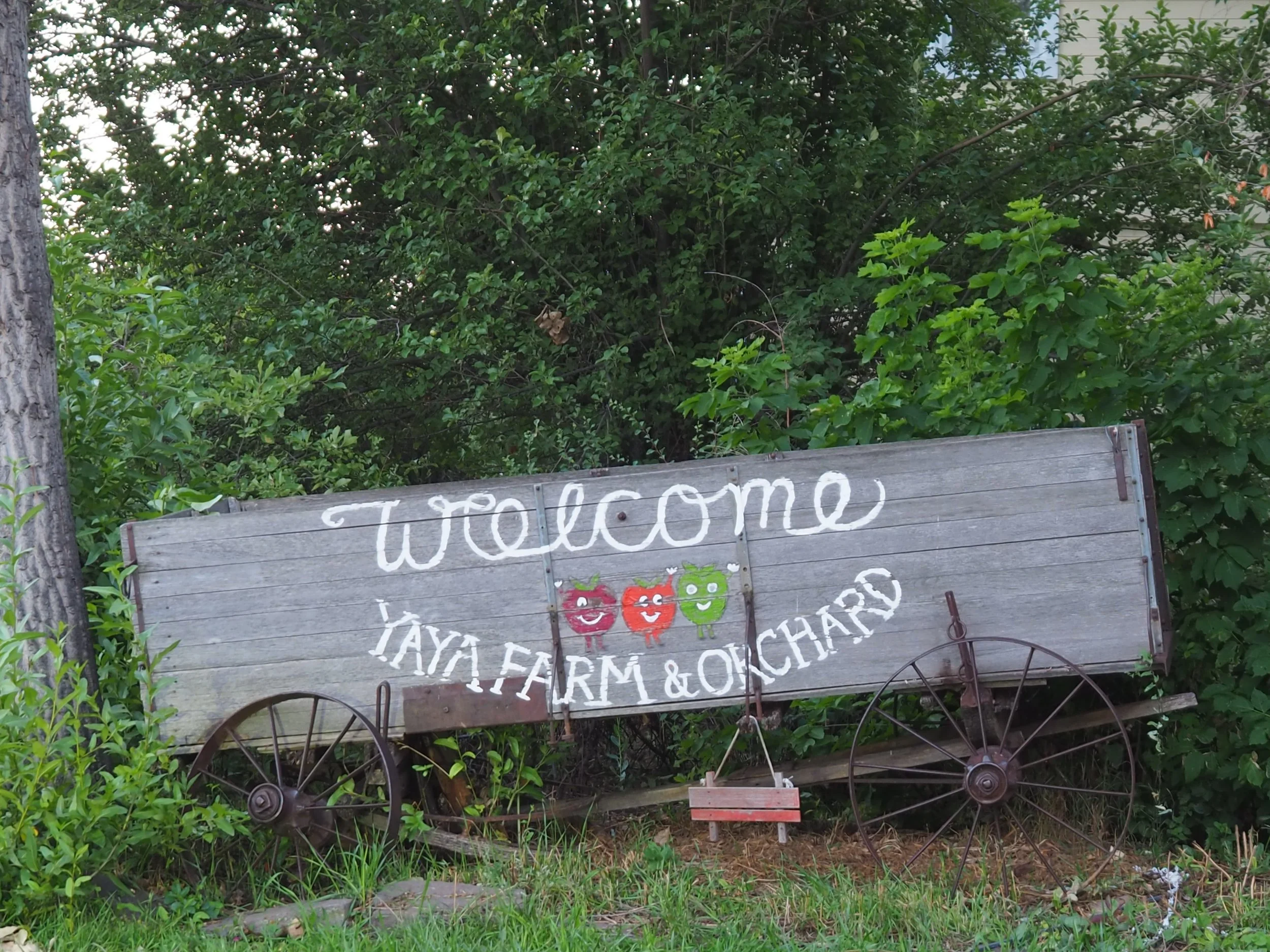 P1015155.JPG