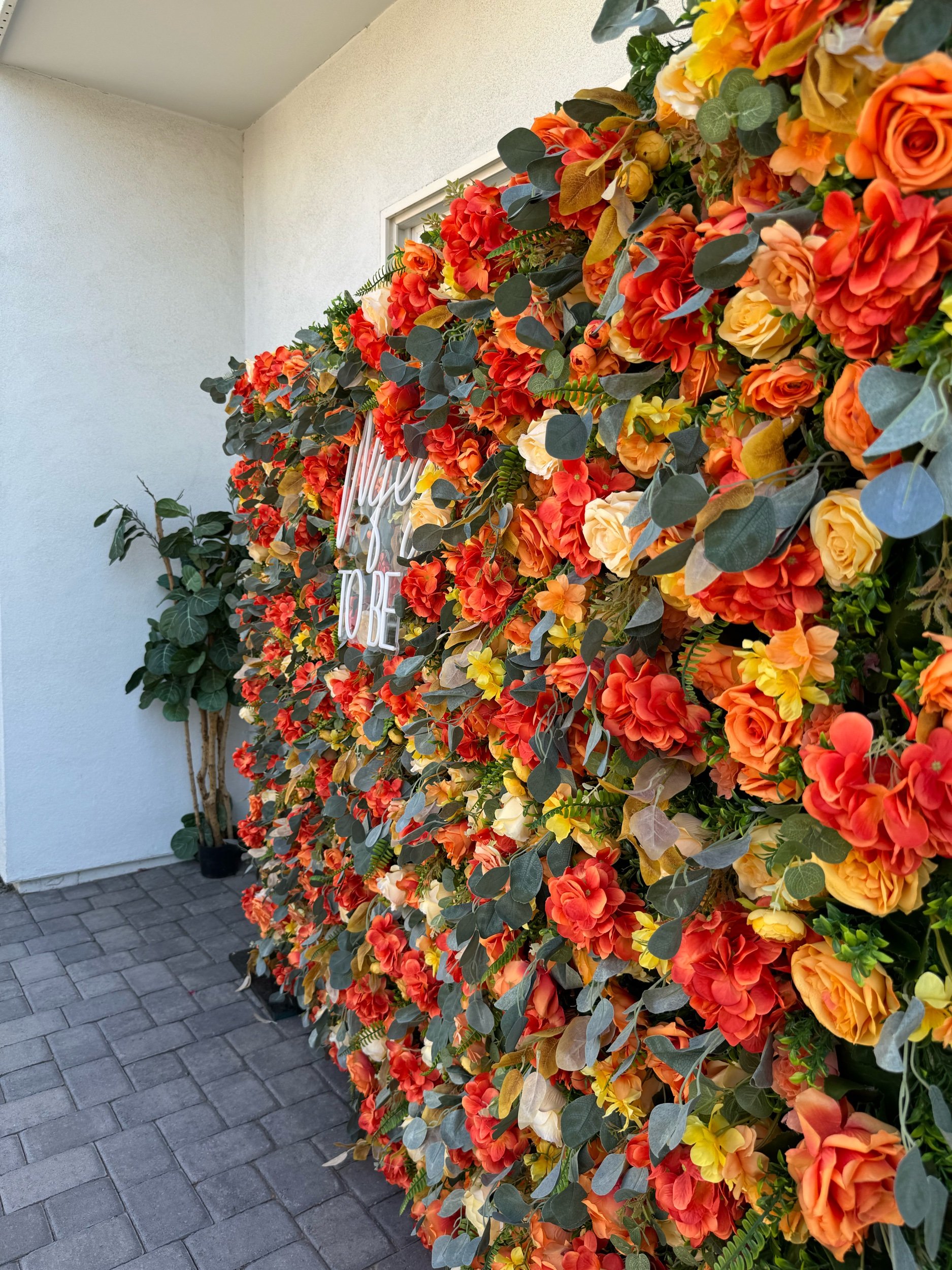 DF594098-AB01-4AE7-A5CB-37DF28EE1A3C.jpeg