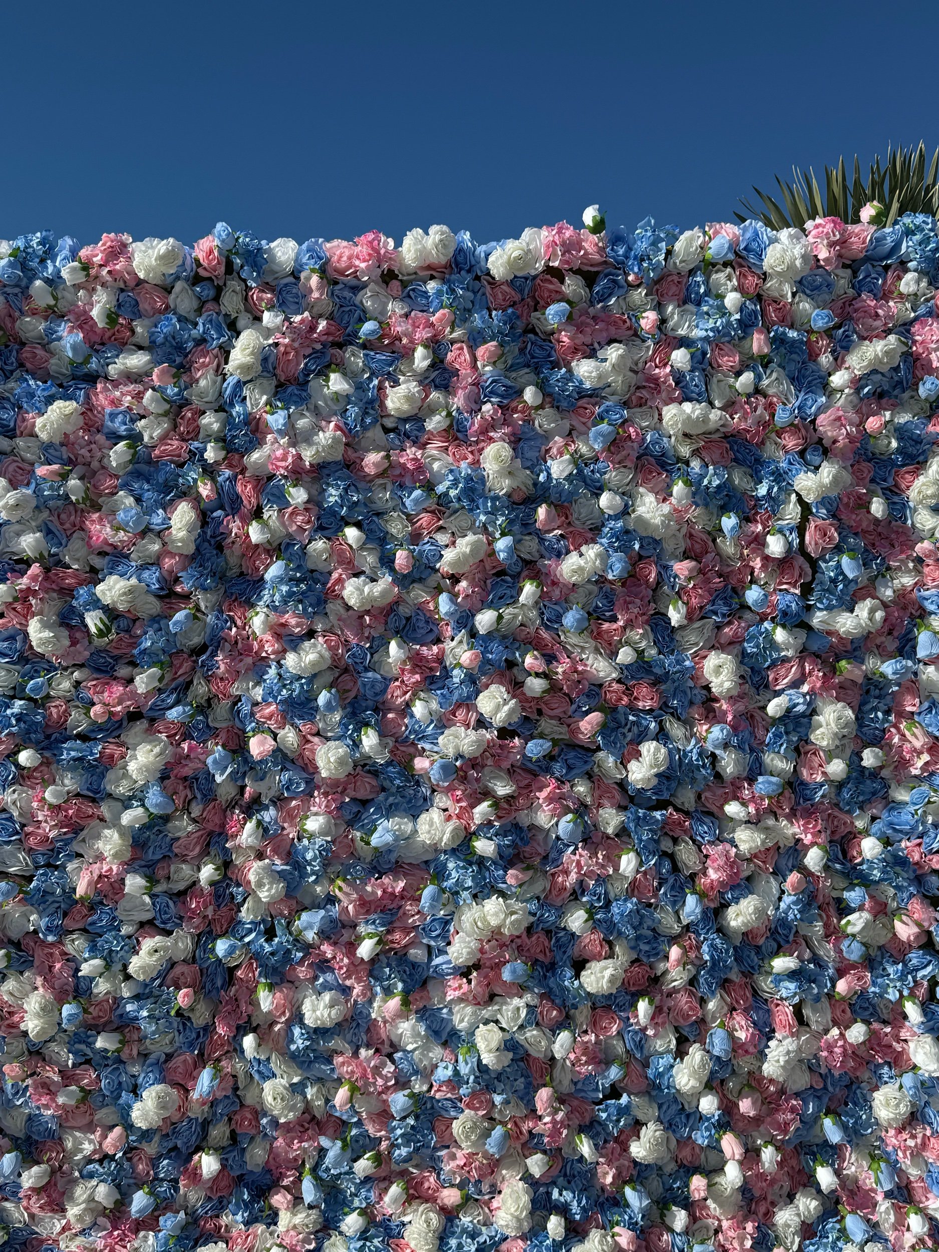 519C81AB-6F38-428F-AD63-9DF347CE3974.jpeg