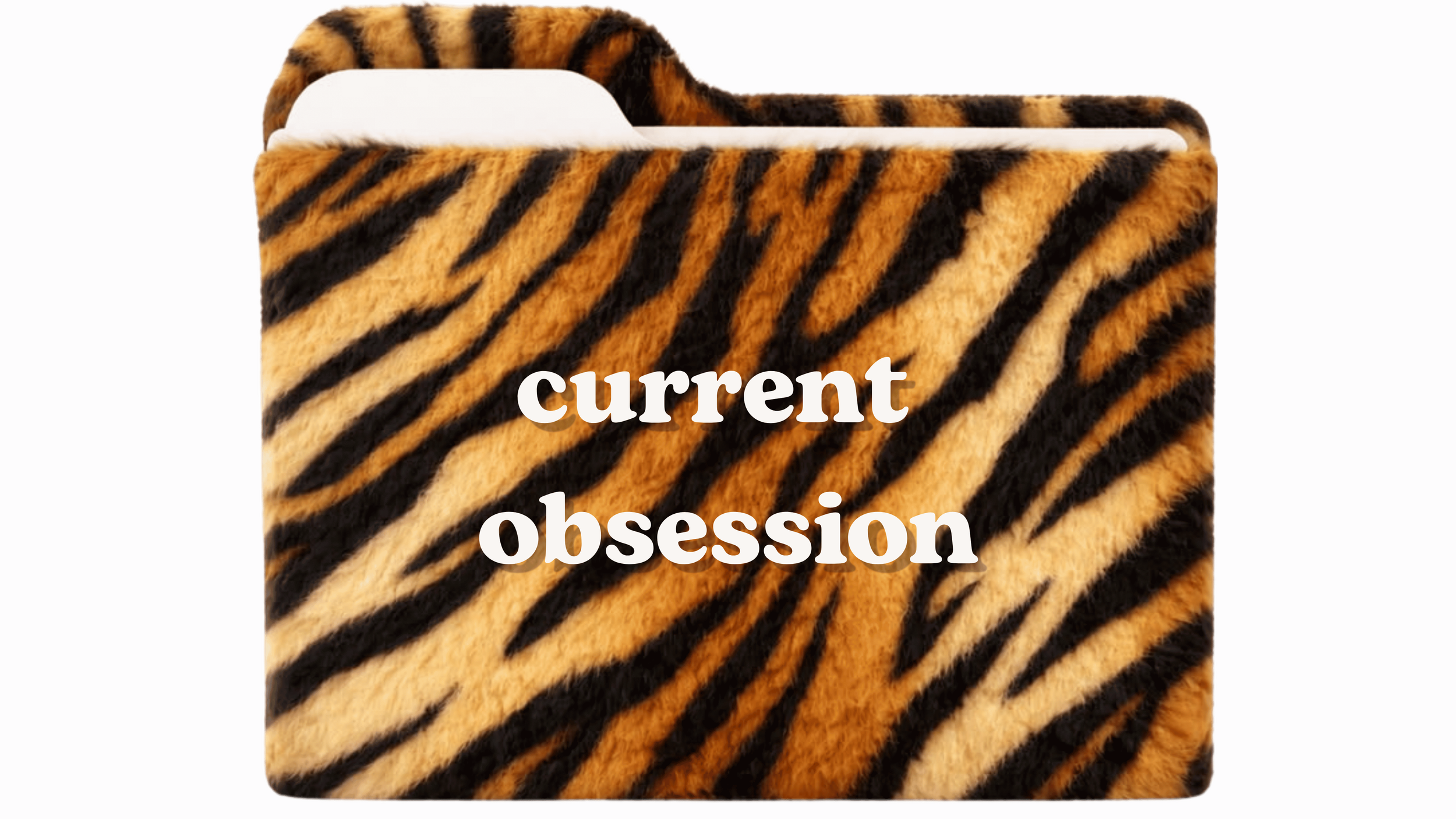 A plush, fuzzy fabric with a tiger stripe pattern in orange, black, and tan, with the overlay text 'current obsession' in white letters.