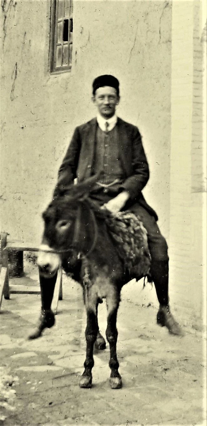 Mark Flinn: "Tajer” - Ziegler's Man in Persia"