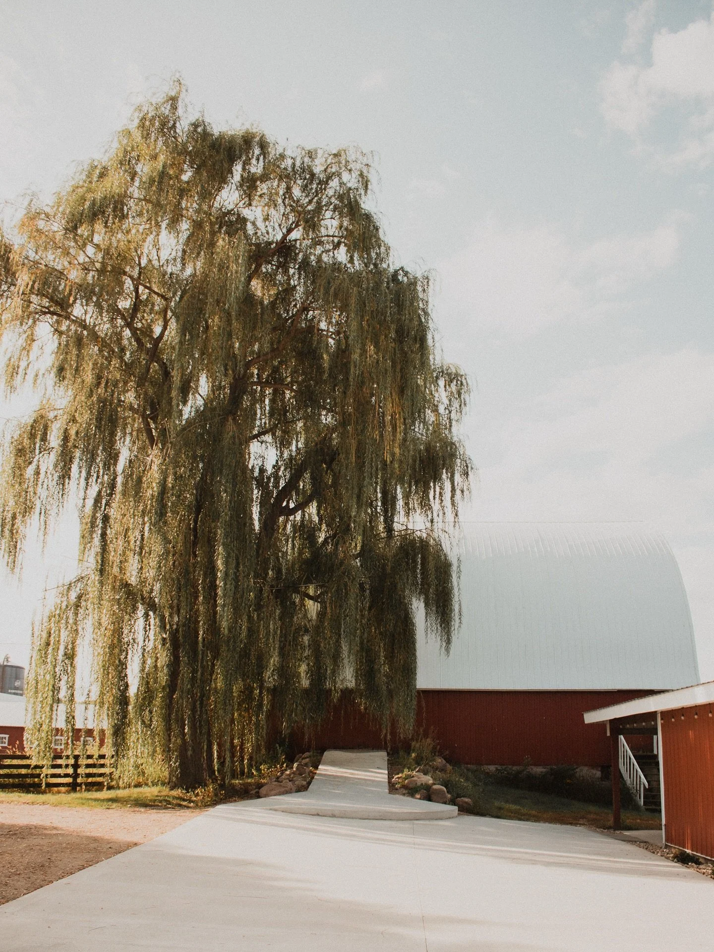 Our crown jewel. 
.
#willowtree #uniqueceremonylocation #iowaweddingvenue #iowavenue #iowawedding