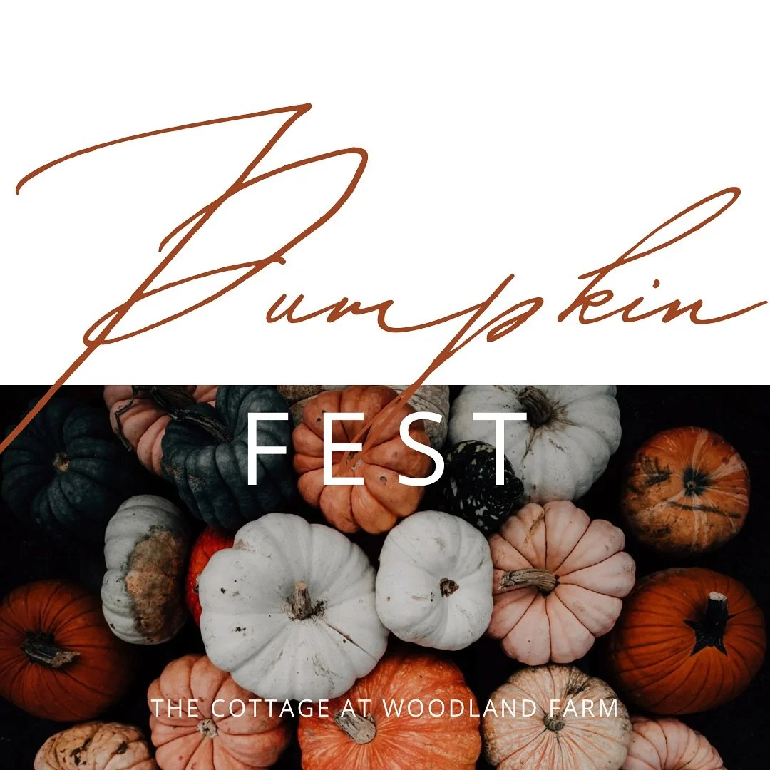 We have lots of exciting events coming up at The Cottage! We would love to see our community at them!
.
.
PumpkinFest - Sunday Oct. 19 from 2 to 6 PM
(hosted by the Women of Fredericksburg)

This is a FREE community event with tons of fall-themed thi