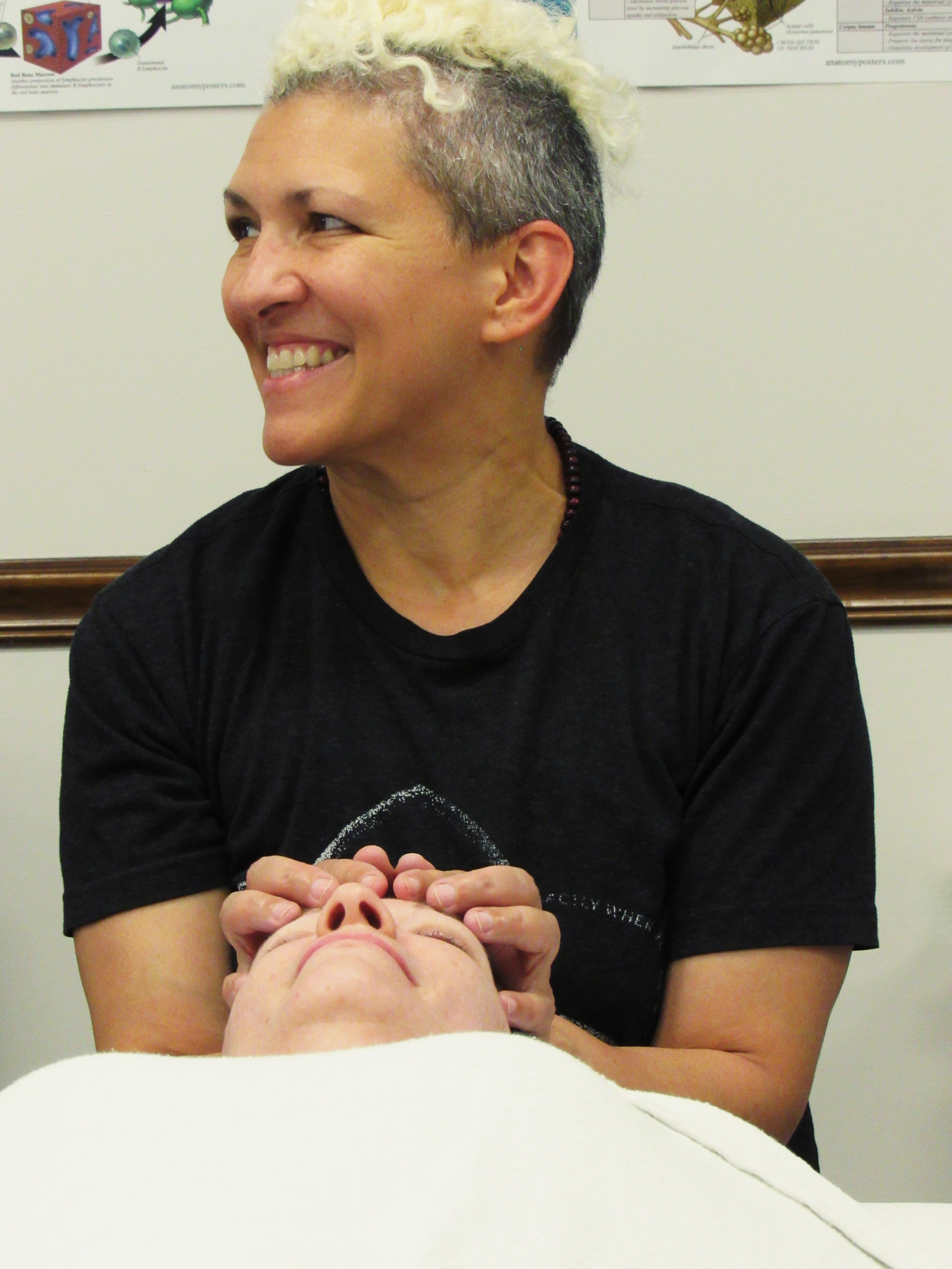 Keystone Principles of the Face, Neck and Head