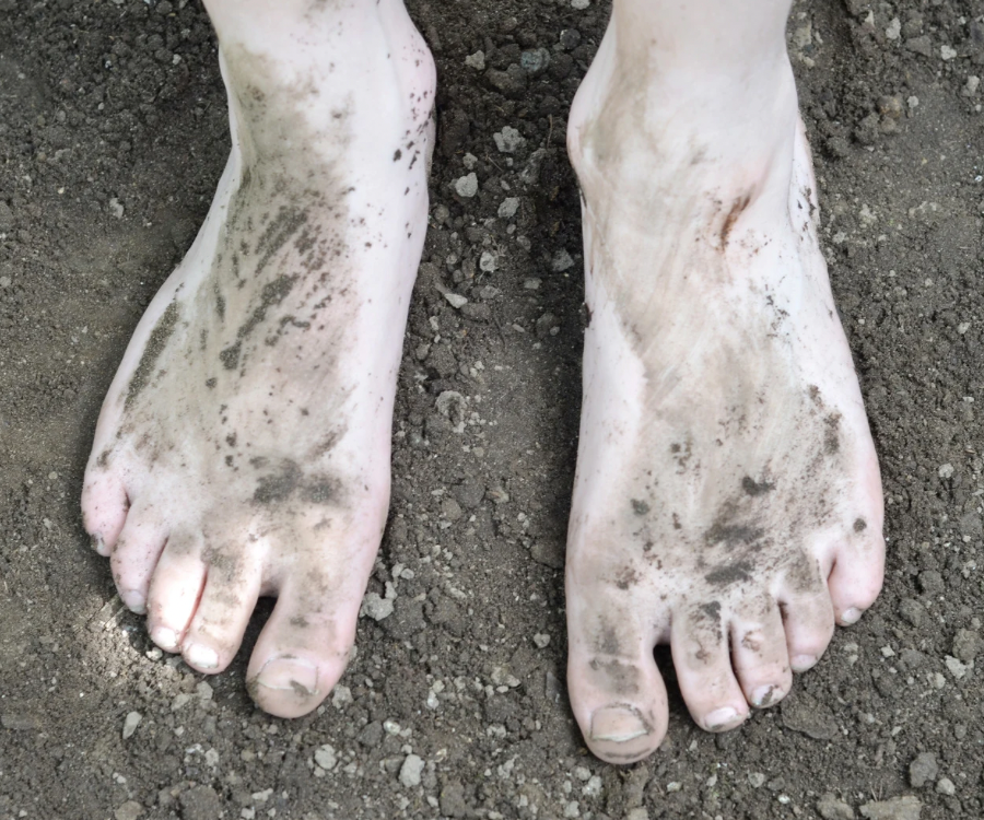 Keevae Website Pic.png