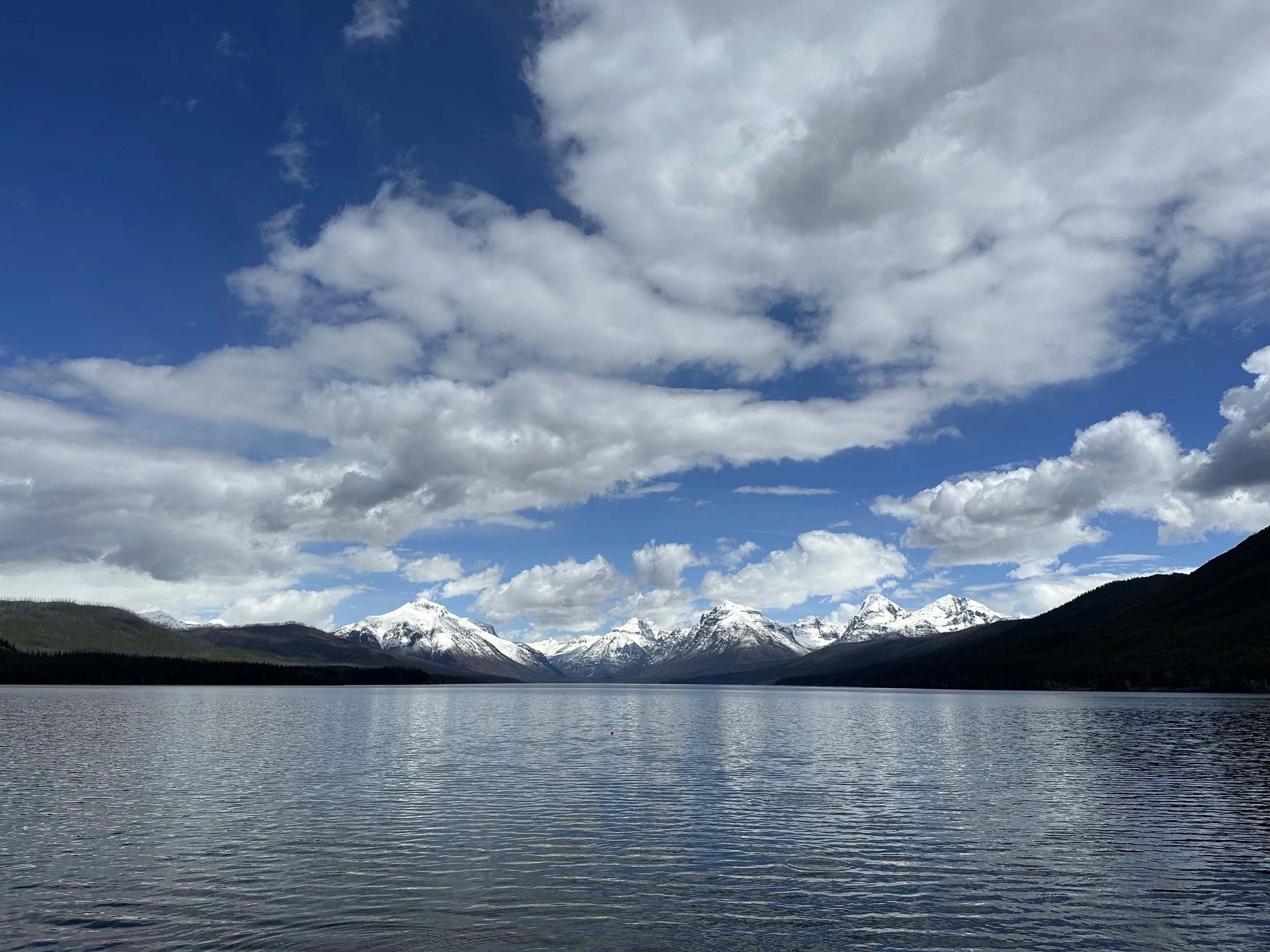 IMG_7606.jpeg