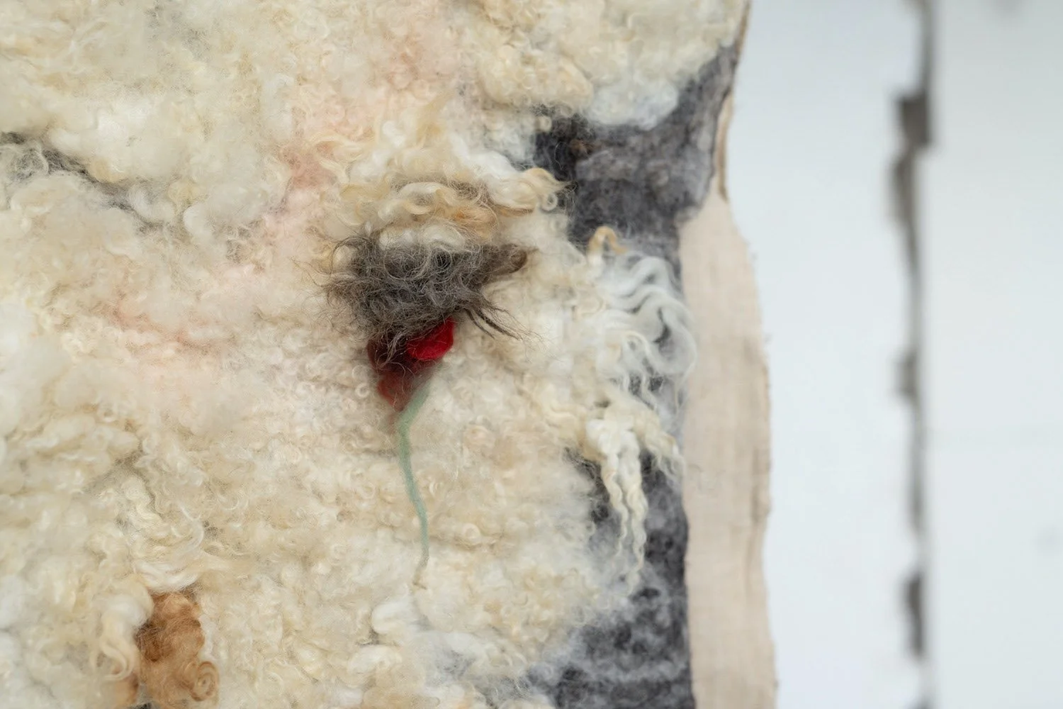 Agnus Dei,, Woollage Interstice — In-situ (Close-Up)