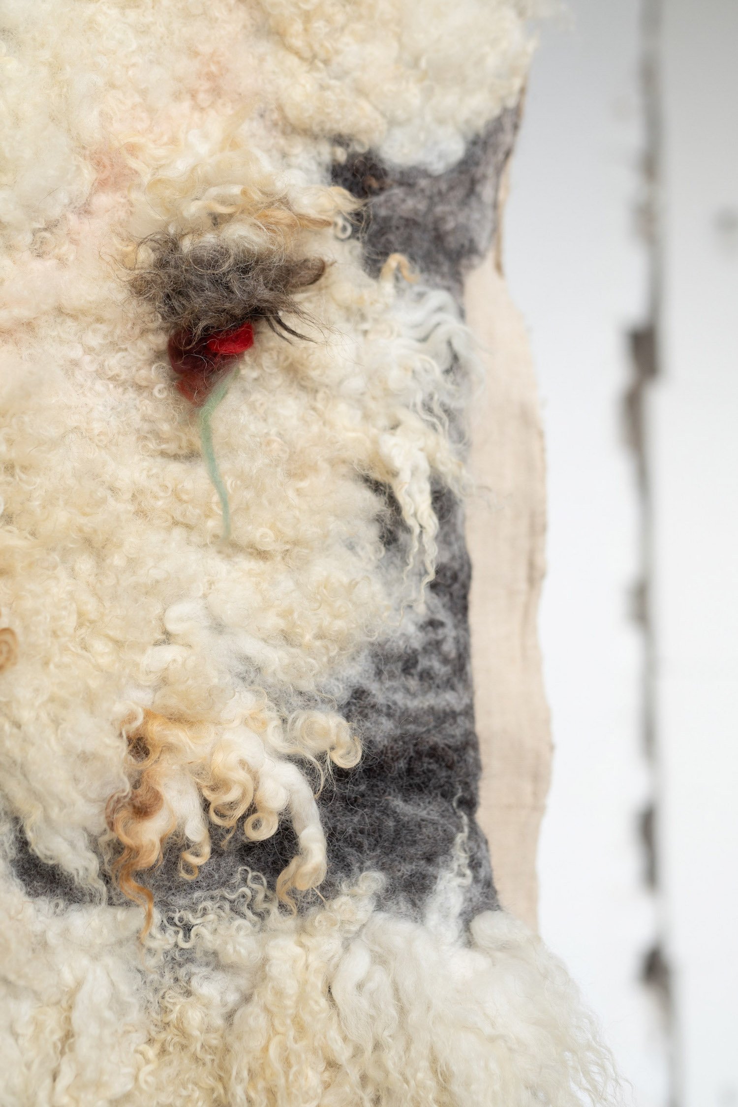 Agnus Dei, Woollage Interstice — In-situ (Detail)