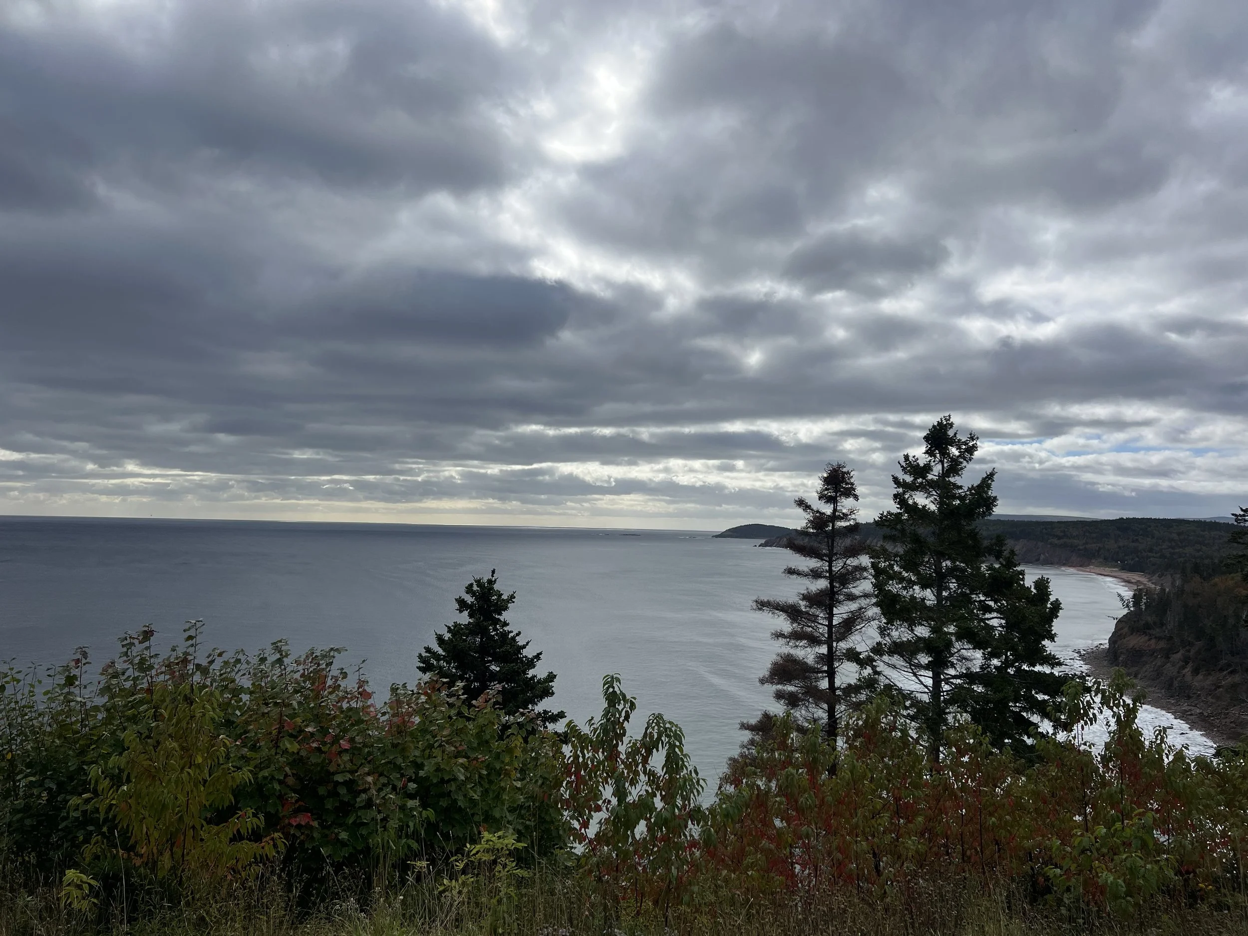 IMG_7937.jpeg