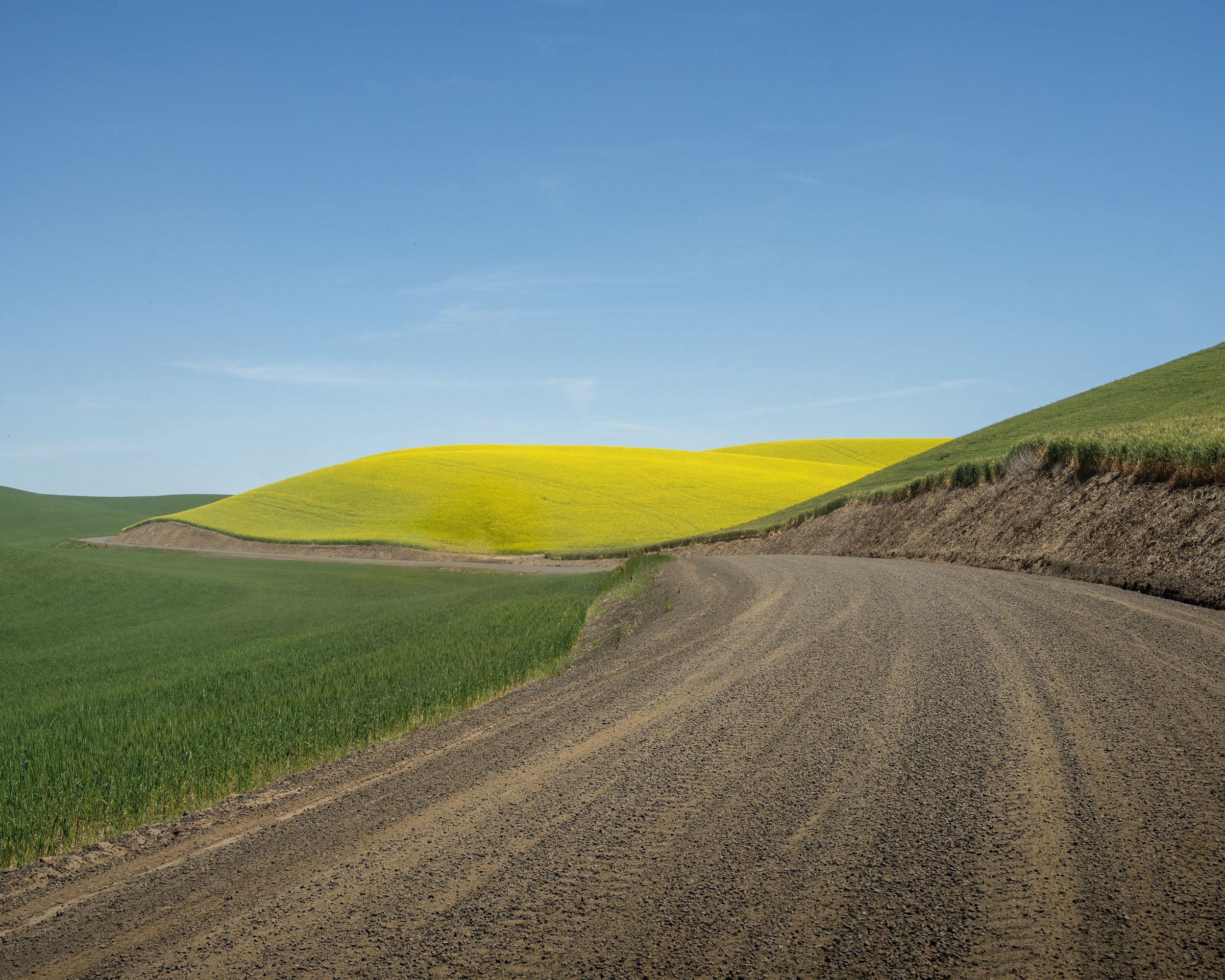 the fields of Walla Walla