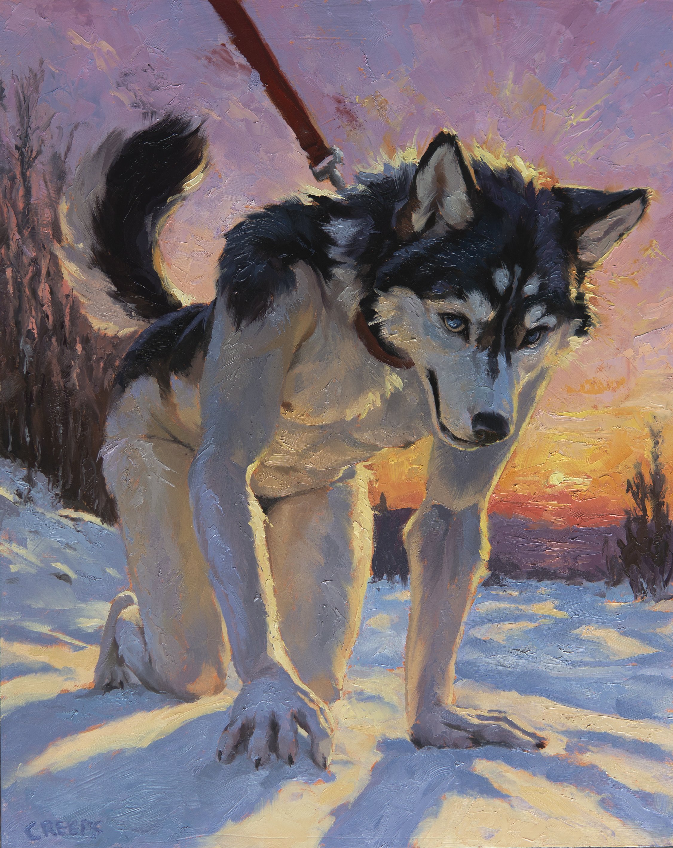 Best In Show patreon.jpg