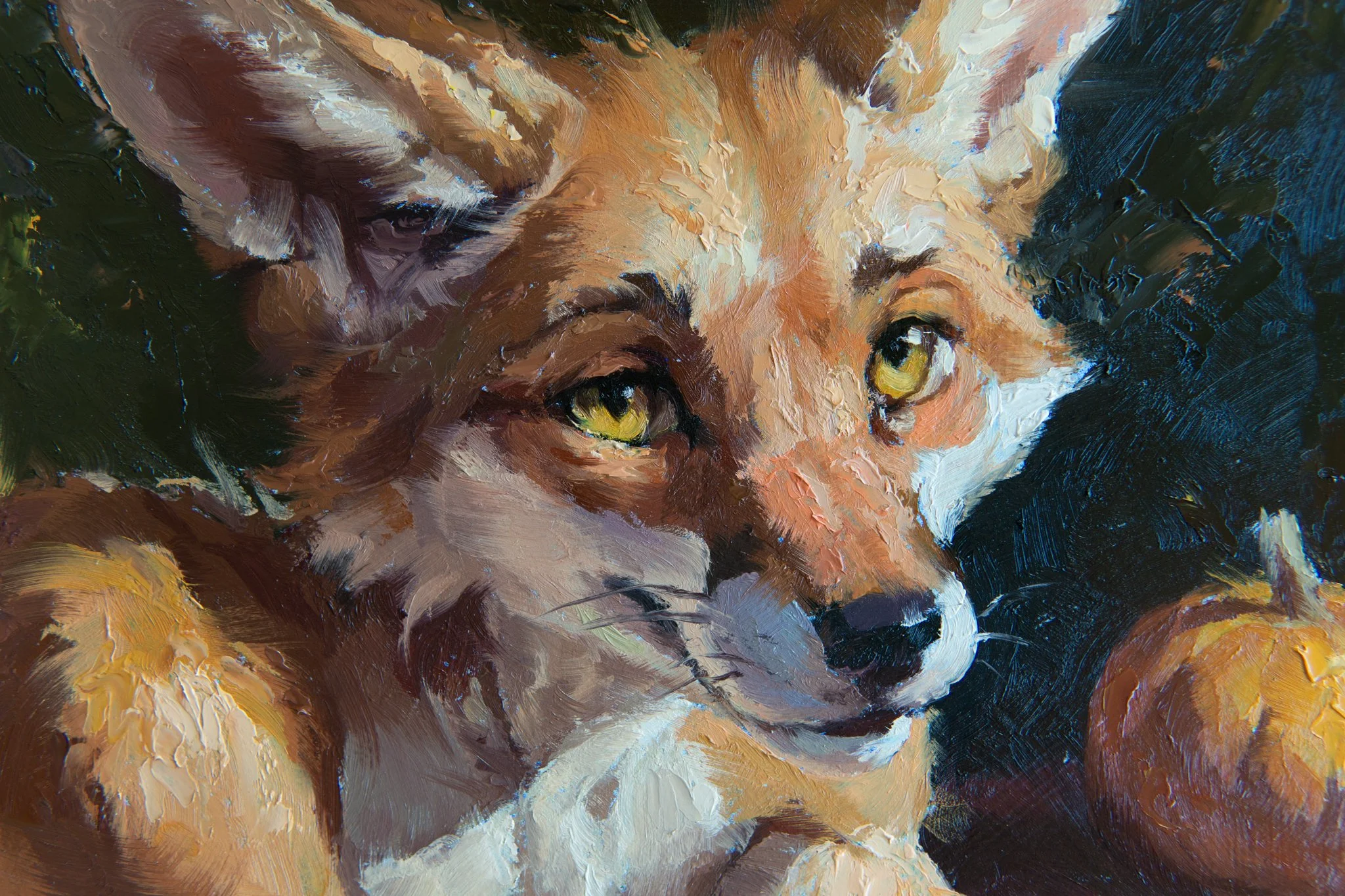 Fox and Pumpkins CU.jpg
