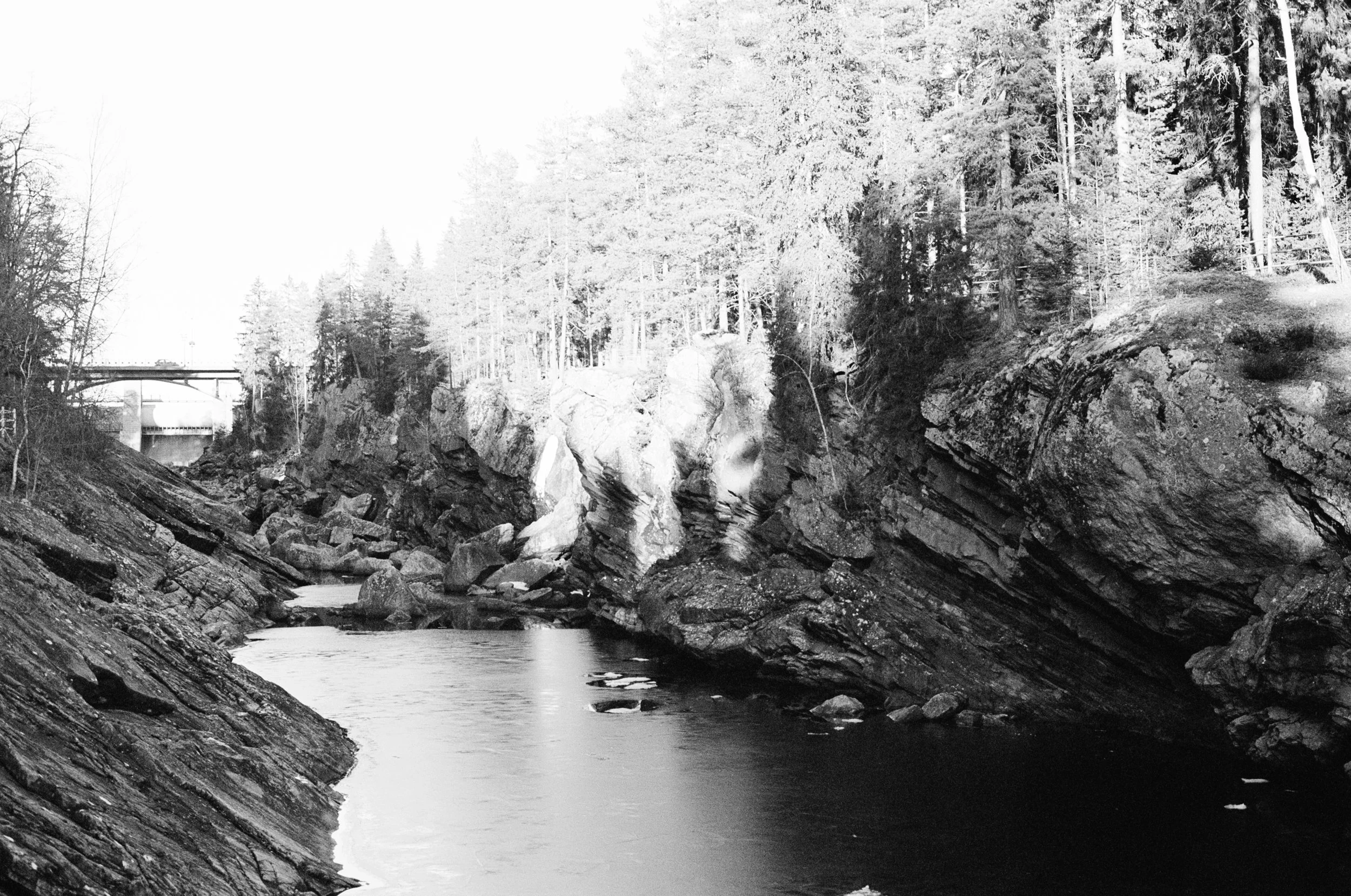 Blogi 7: Ihmiskoe ja tulevaisuuden suunnitelmat