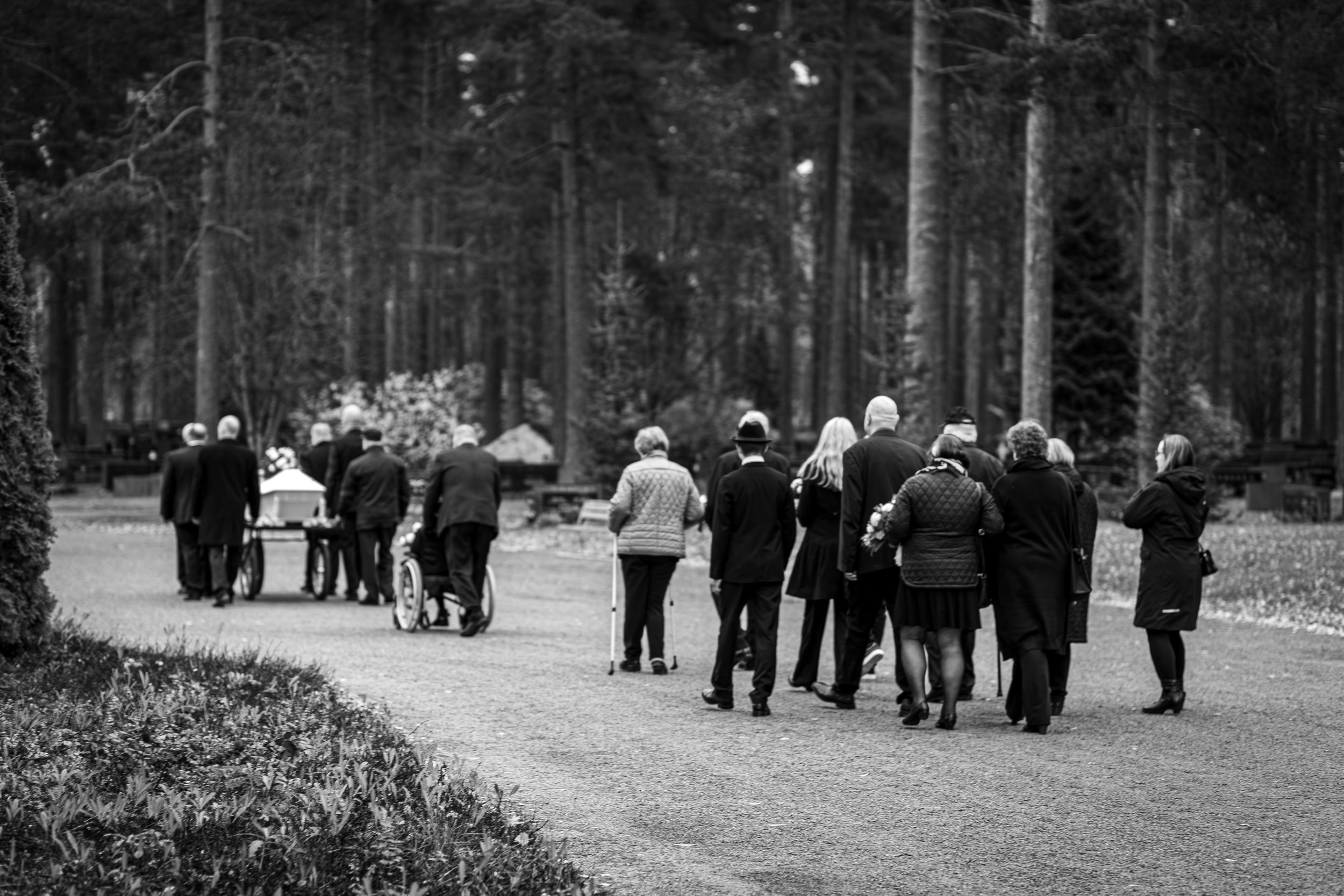Mustalattiaiset ihmiset kävelevät metsän keskellä polkua, osa on liikuntarajoitteisia ja käyttäen apuvälineitä, kuten voimistelupasseja.