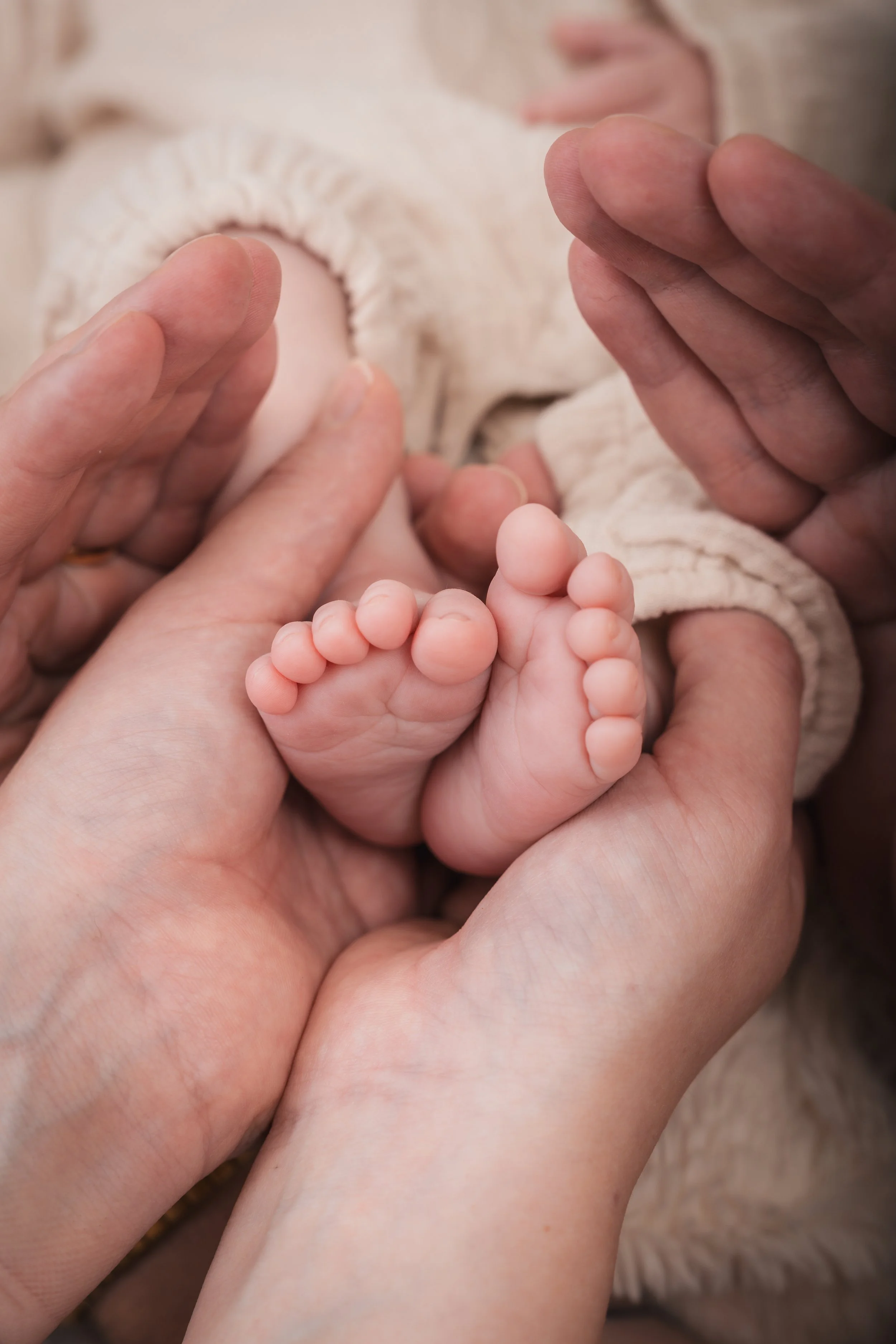 Newbornkuvaus Lappeenranta, Joutseno, Imatra.jpg