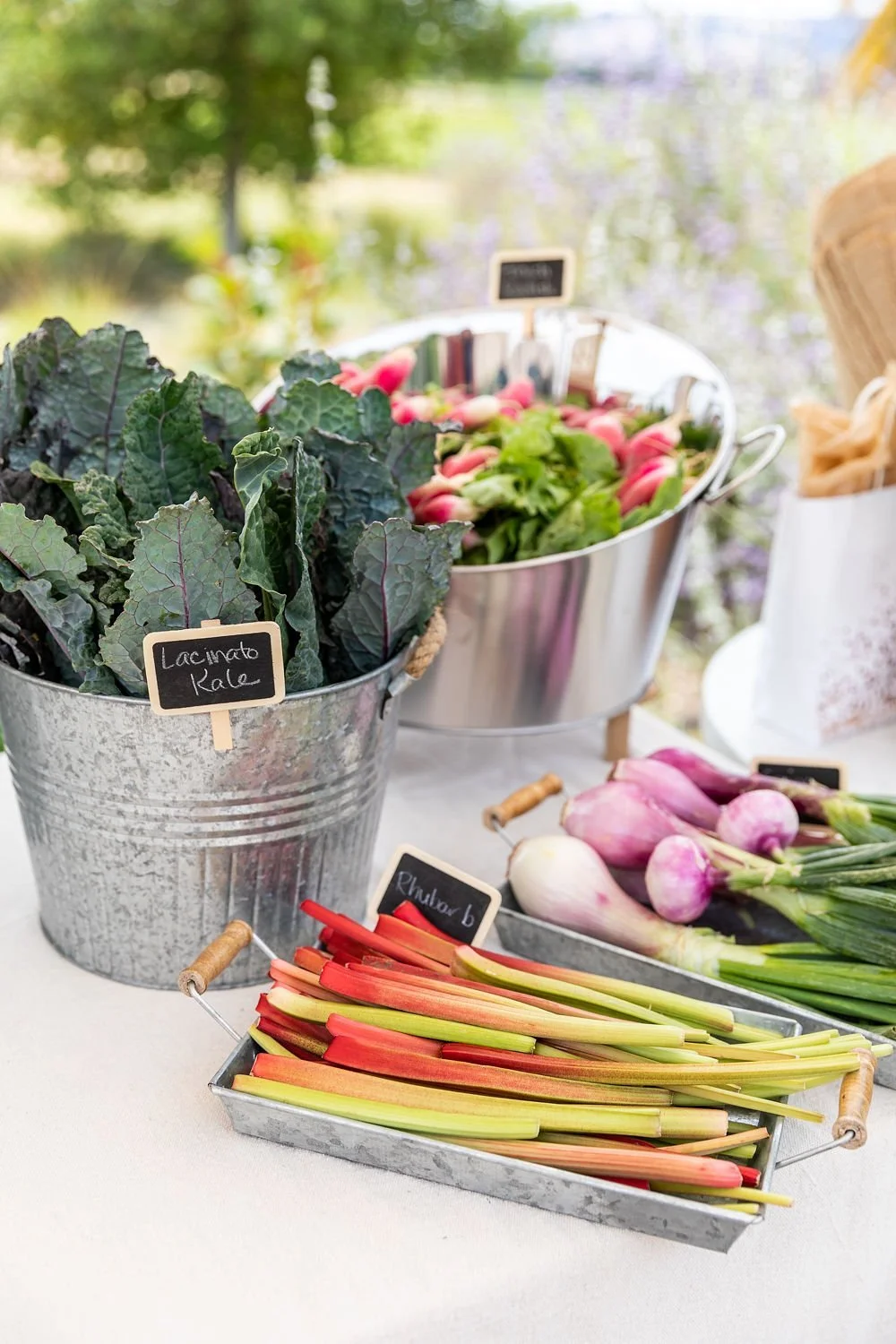 Fresh vegetables including radishes and Swiss chard displayed in metal buckets and trays at an outdoor market.