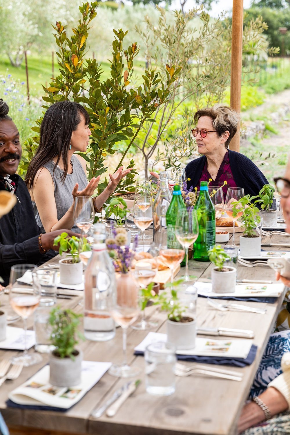 People sitting around a table outdoors, engaging in conversation during a meal with drinks and small potted plants, on a wooden table with a natural garden background.