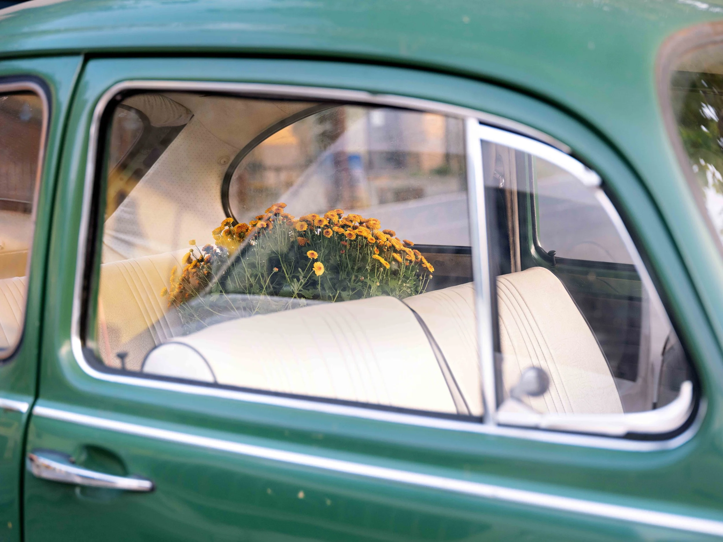 View through the window of a vintage green car with beige interior and a bouquet of yellow flowers on the back seat.