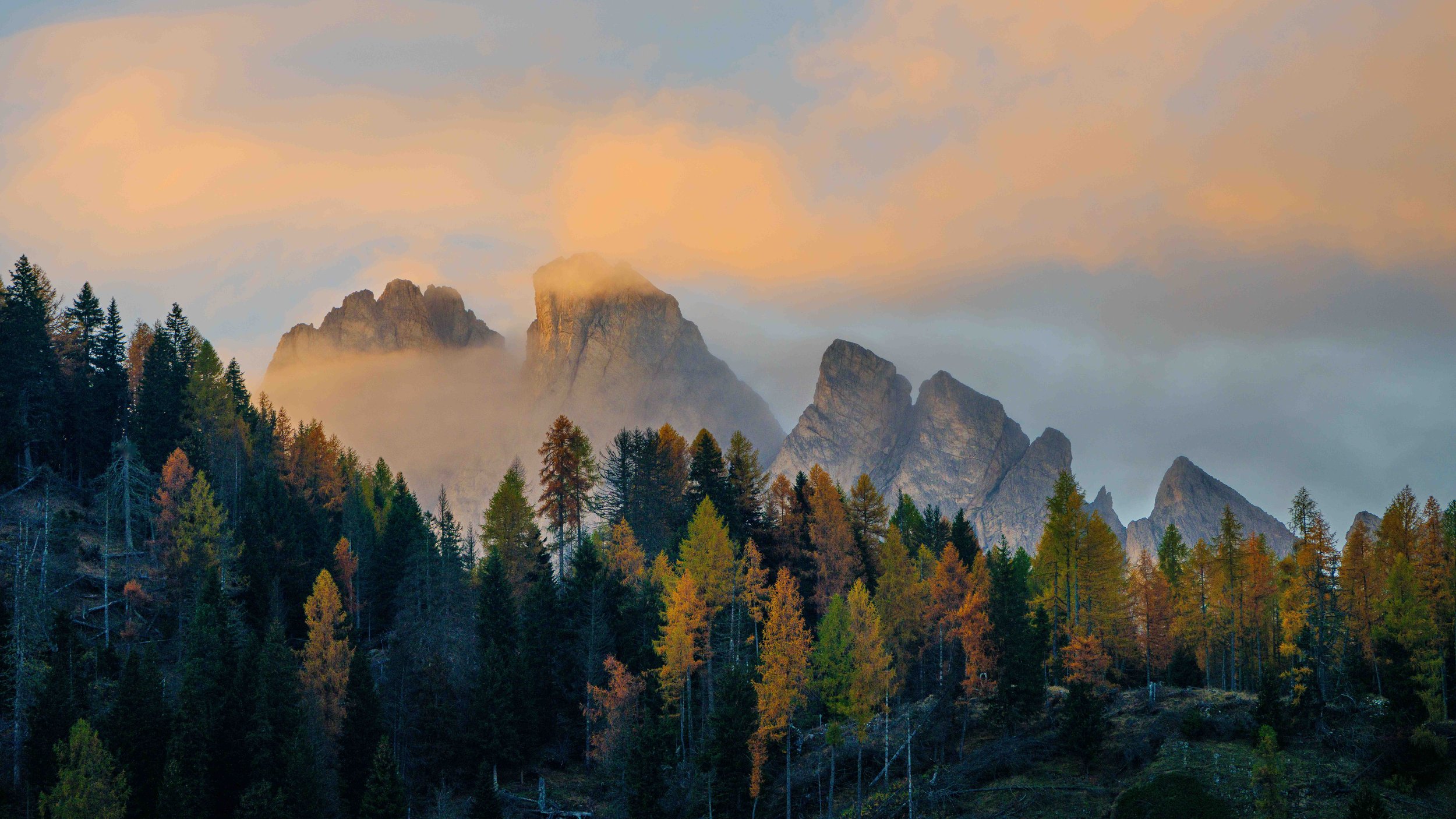 A mountain range with rocky peaks partly covered in clouds, with a forest of tall trees with fall foliage in the foreground.